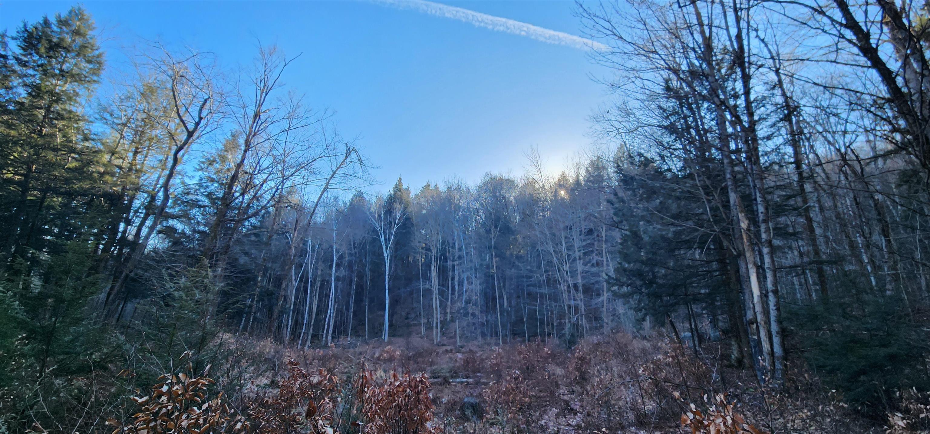 0 Mill Road Stamford, VT 05352 - Photo 23 of 24