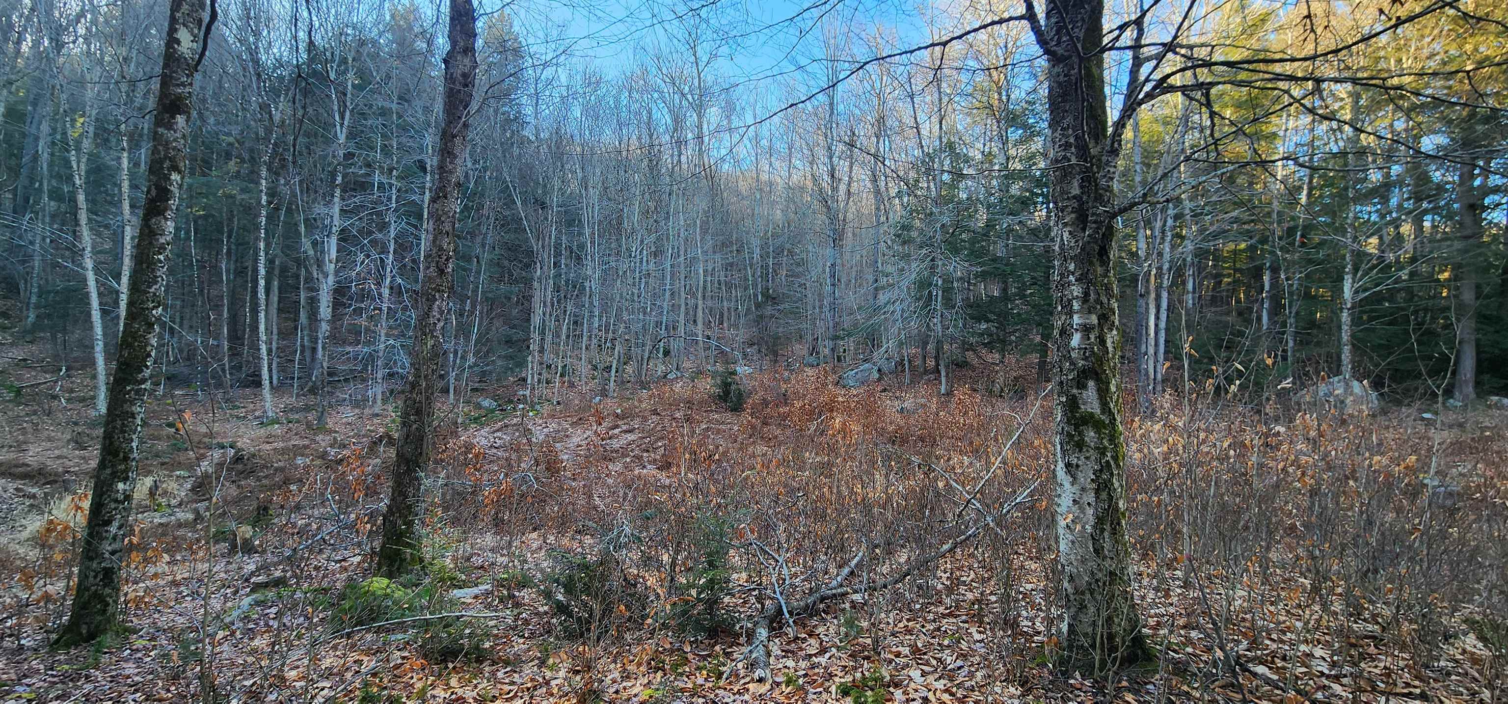 0 Mill Road Stamford, VT 05352 - Photo 6 of 24