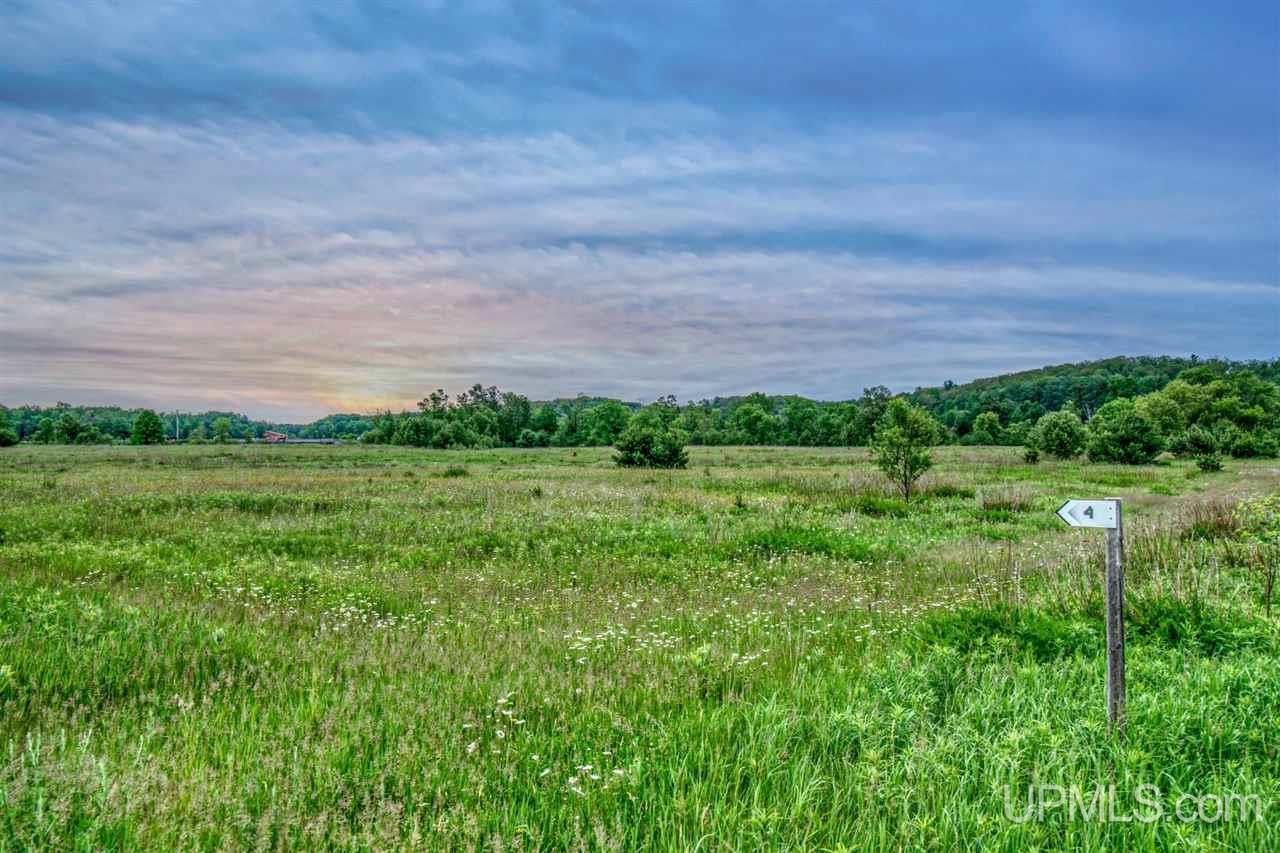 Tbd New York Lake Road, Unit 4 Vulcan, MI 49892 - Photo 6 of 10 Gallery Image 6