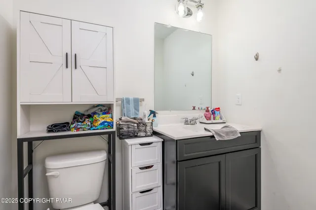 a bathroom with a sink vanity and a toilet