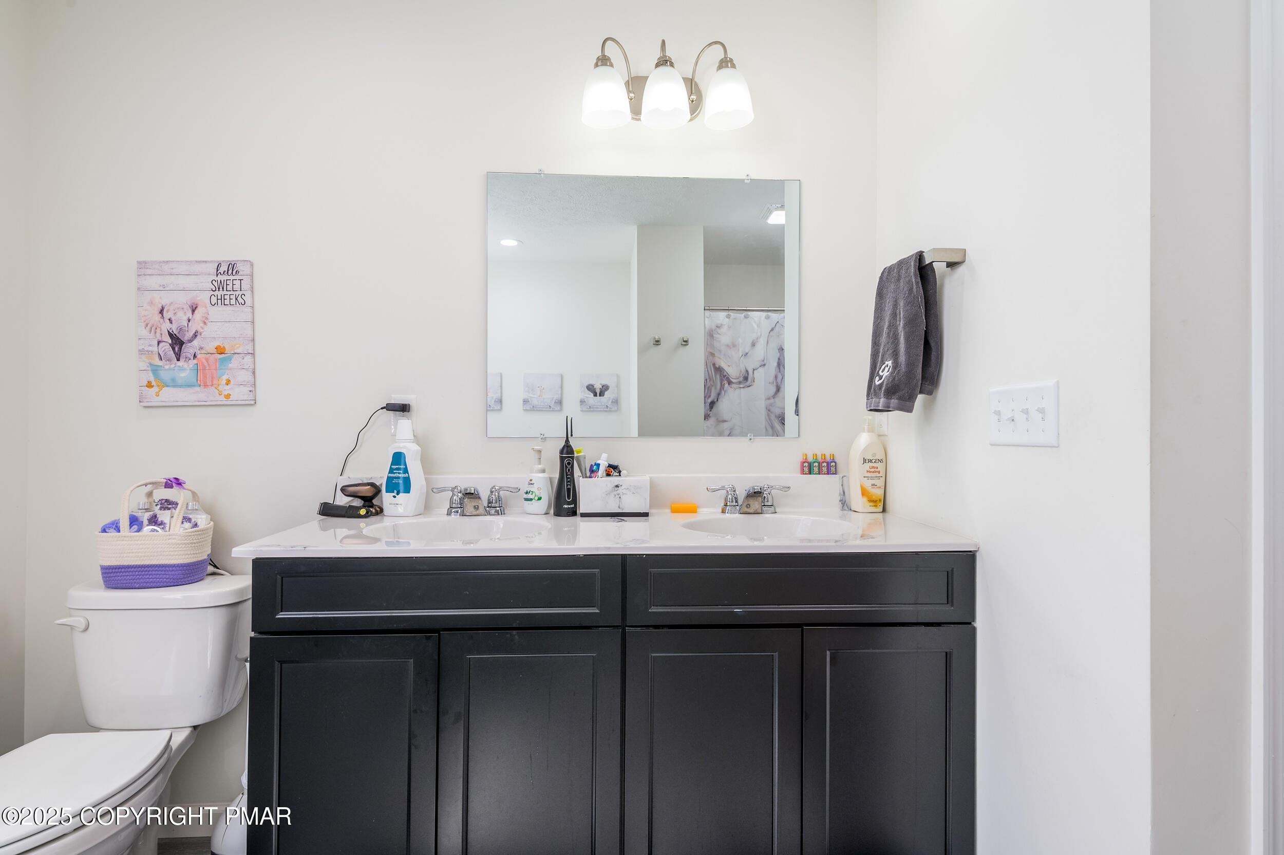 322 Russell Court Effort, PA 18330 - Photo 31 of 45 a bathroom with a sink vanity mirror and toilet