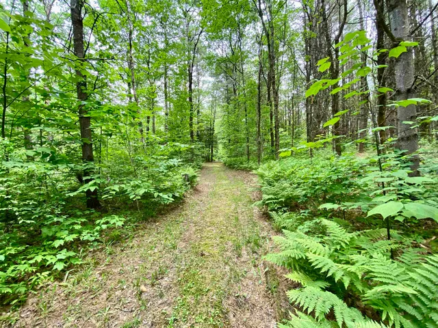 $425,000 | 87 Old Chandlers Mills Road, Claremont, NH 03743