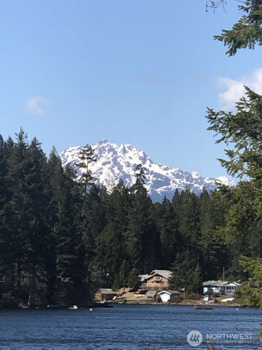 371 Northeast Tee Road Tahuya, WA 98588 - Photo 13 of 24