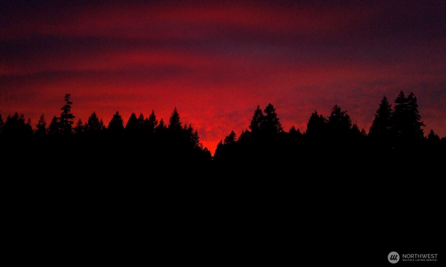 371 Northeast Tee Road Tahuya, WA 98588 - Photo 23 of 24