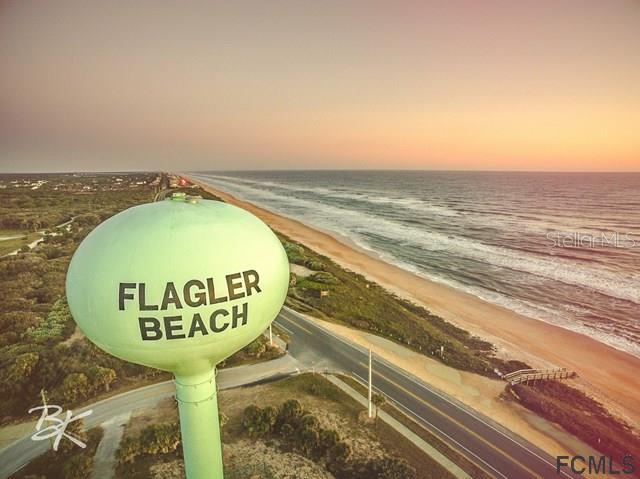47 Shelter Cove Circle Beverly Beach, FL 32136 - Photo 15 of 21 a view of a swimming pool with a lounge chair