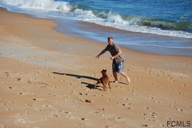 47 Shelter Cove Circle Beverly Beach, FL 32136 - Photo 20 of 21 a view of outdoor space and yard