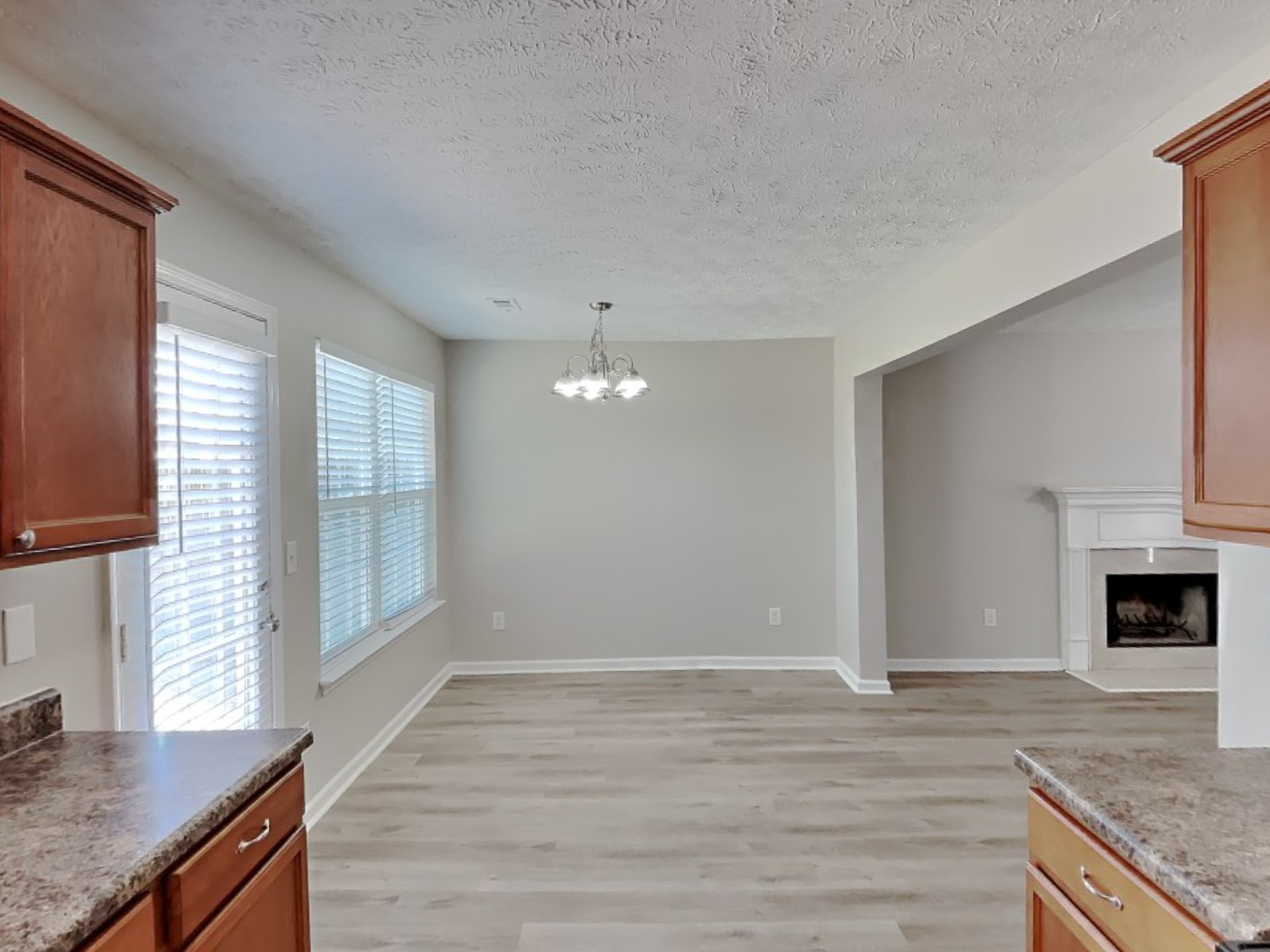 4028 Deer Run Trace Spring Hill, TN 37174 - Photo 4 of 16