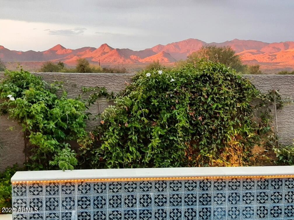 18828 East Blue Sky Drive Rio Verde, AZ 85263 - Photo 20 of 21 a view of a street