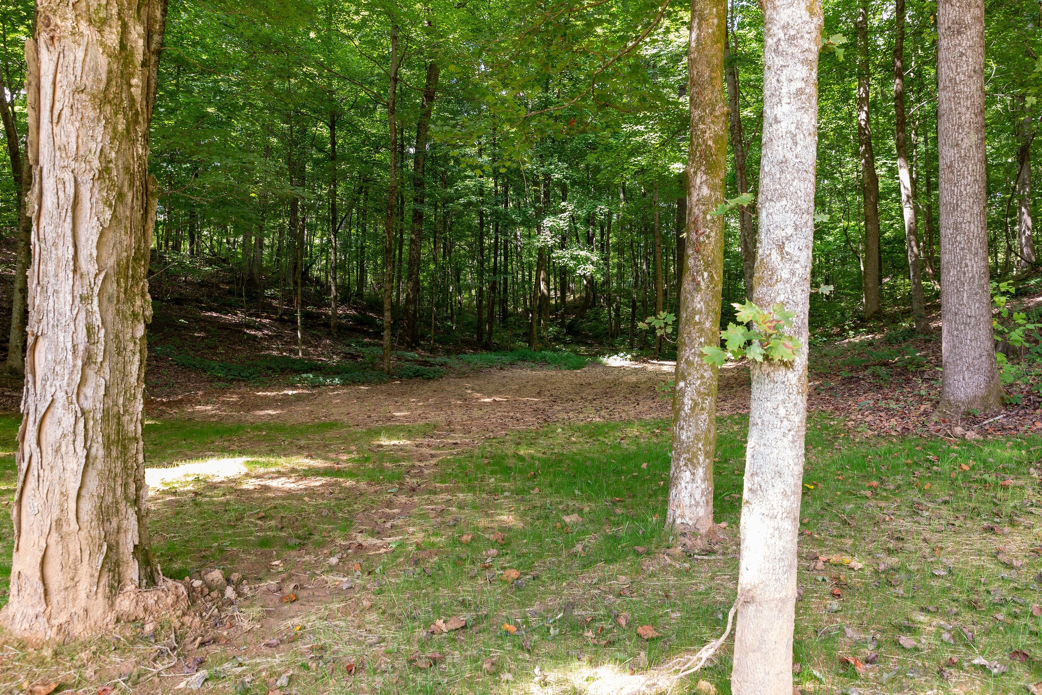 1570 Old Gallatin Road Portland, TN 37148 - Photo 22 of 28 Gallery Image 22