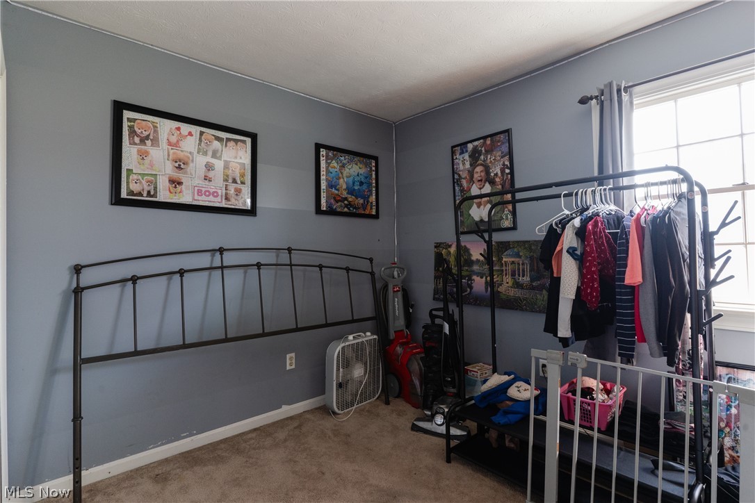 2765 McMackin Road Madison, OH 44057 - Photo 20 of 38