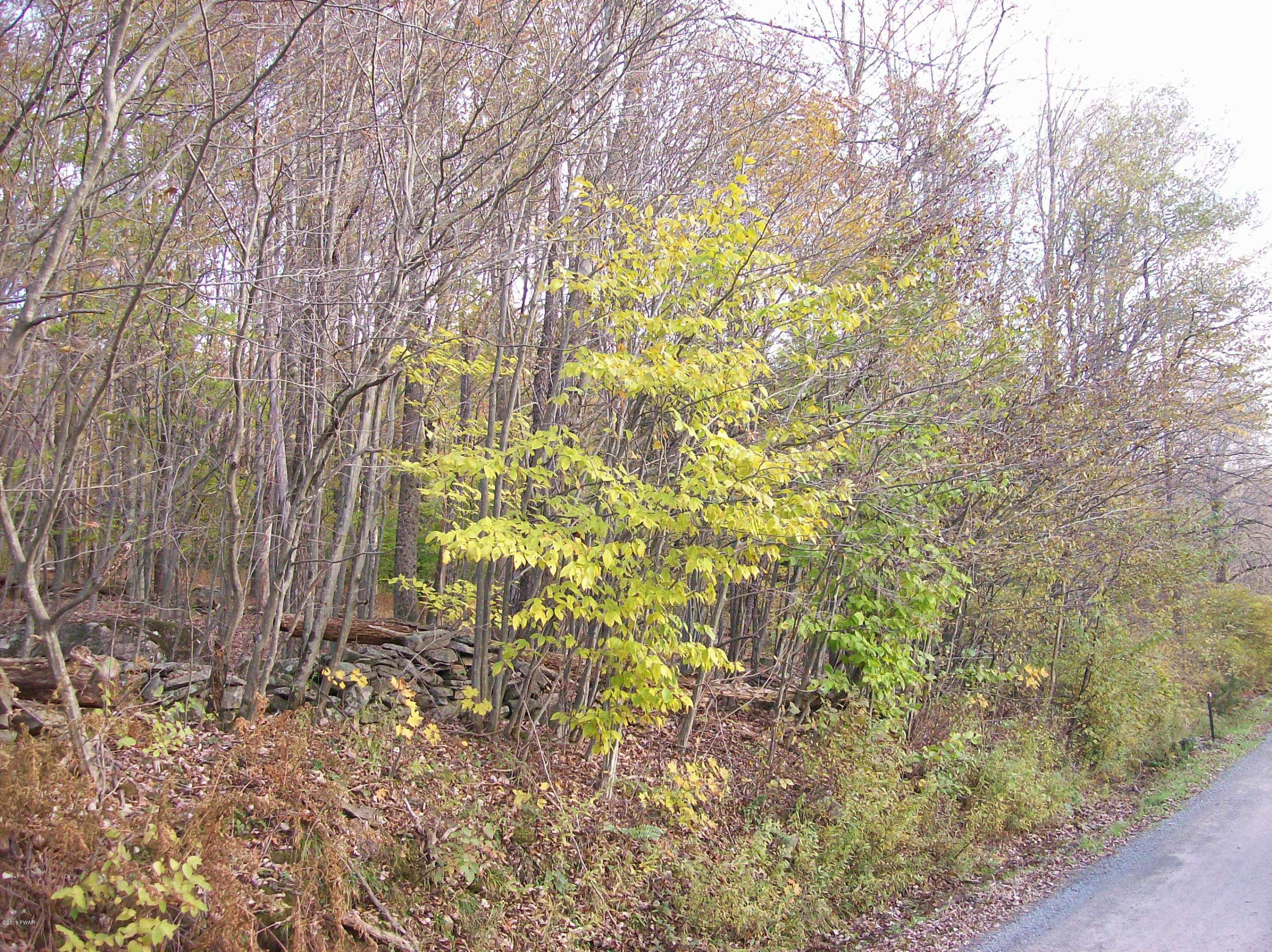 Lot #9 Bunting Road Honesdale, PA 18431 - Photo 4 of 7