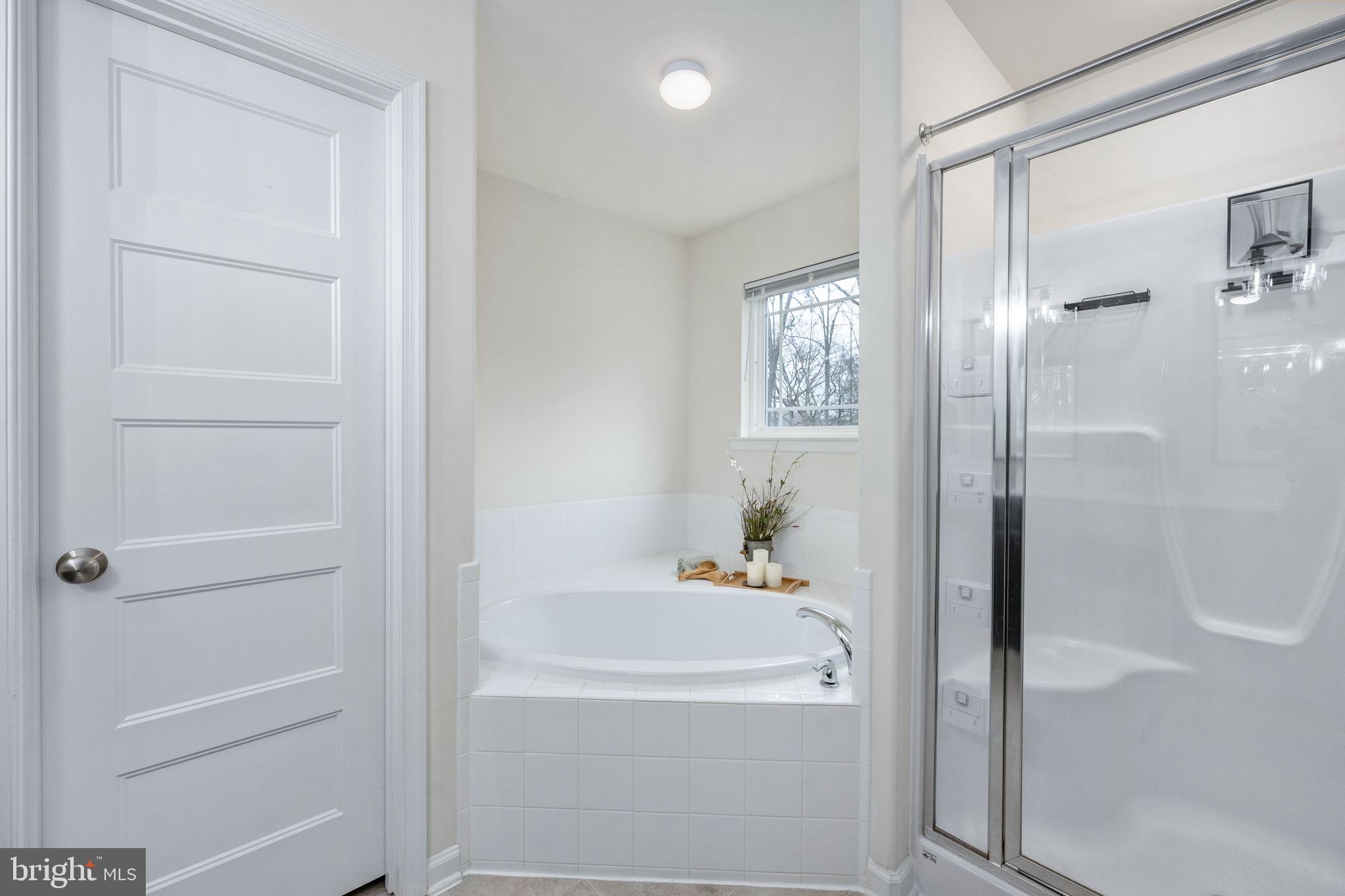 794 White Oak Road Fredericksburg, VA 22405 - Photo 44 of 70 Soaker tub and sep shower