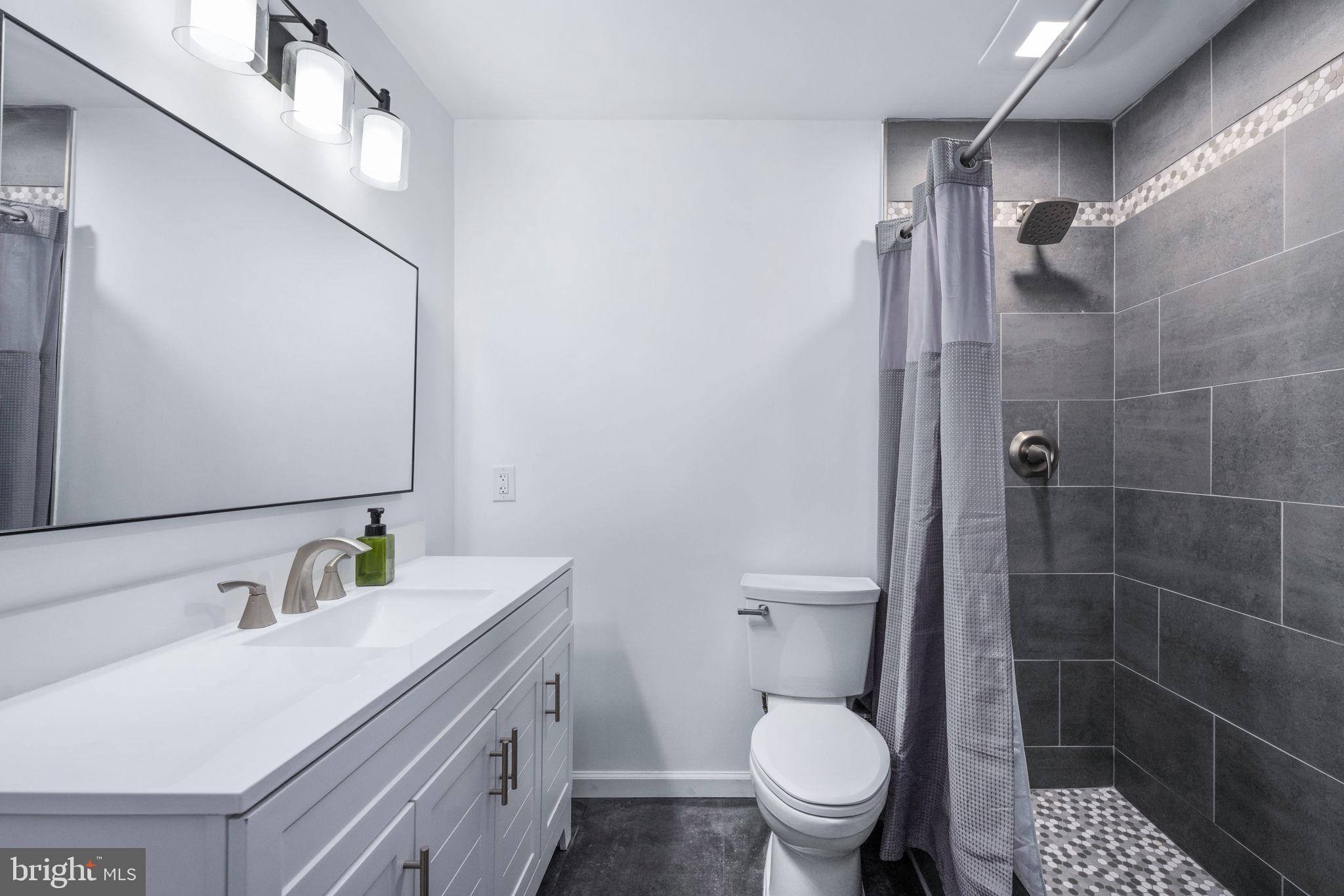794 White Oak Road Fredericksburg, VA 22405 - Photo 52 of 70 a bathroom with a sink a toilet and shower