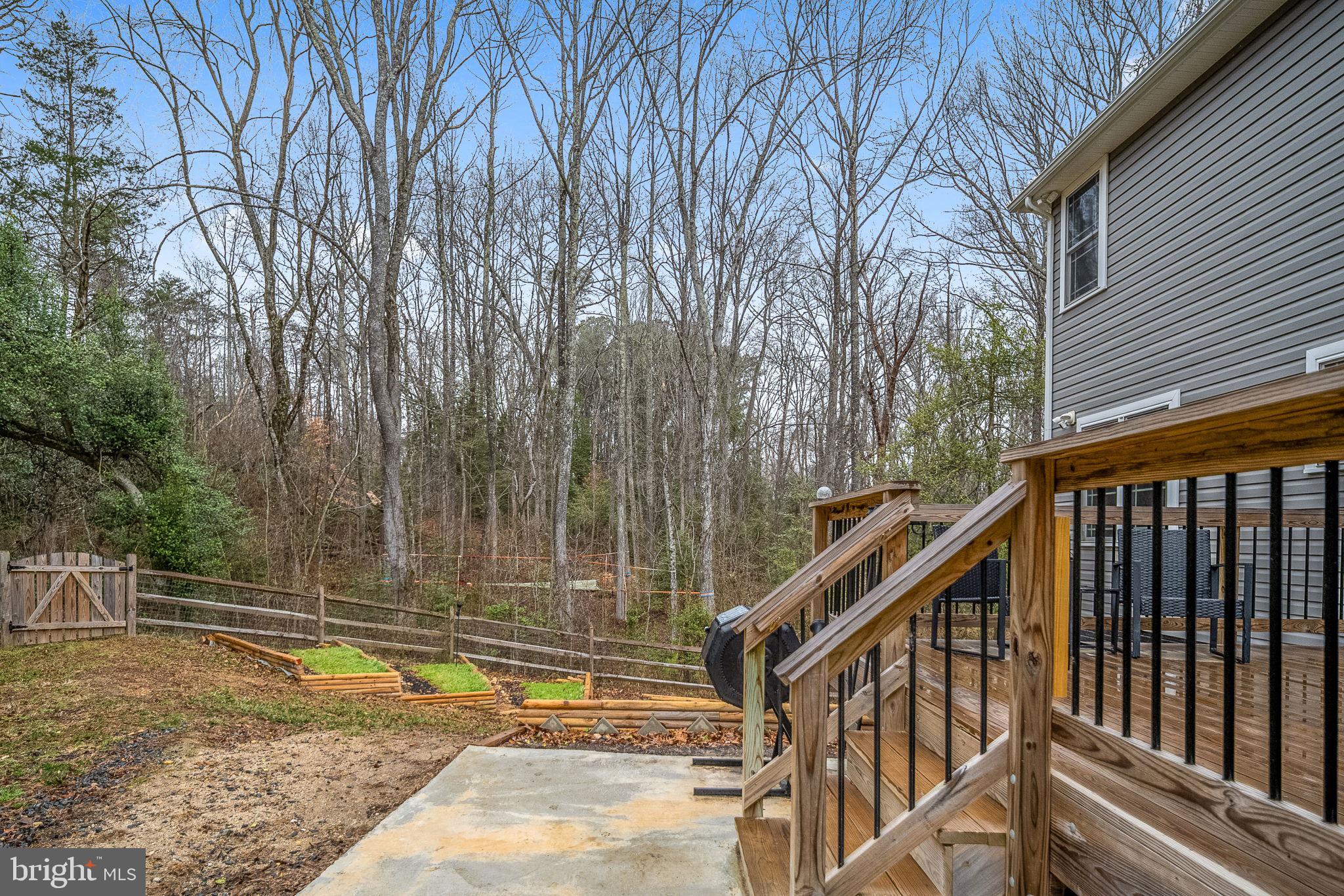 794 White Oak Road Fredericksburg, VA 22405 - Photo 62 of 70 Trees are nature's perfect curtains