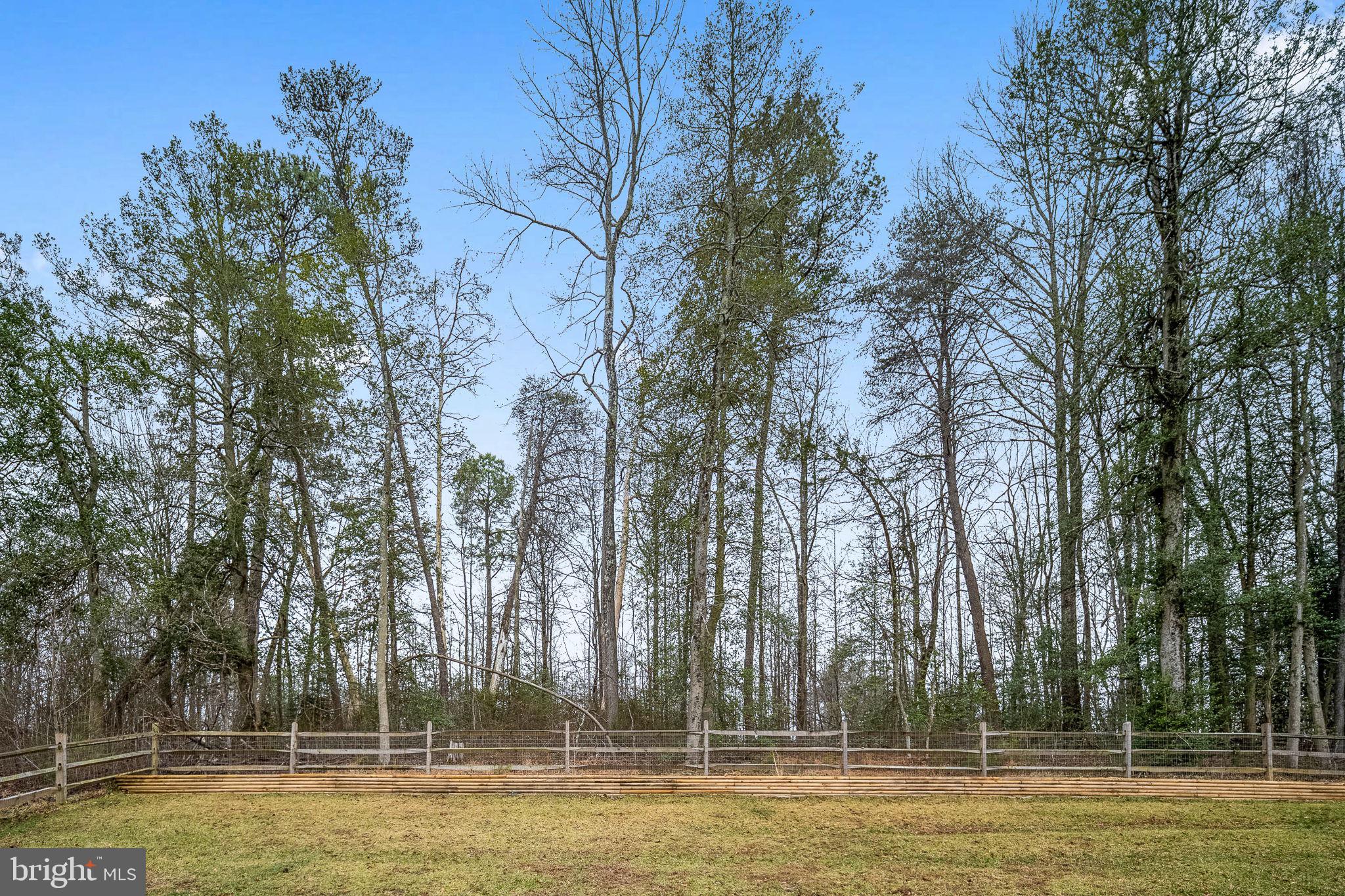 794 White Oak Road Fredericksburg, VA 22405 - Photo 8 of 70 a view of a swimming pool with trees in the background