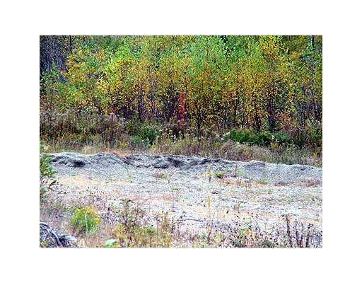 Lot 49 Ludlow Road Houlton, ME 04730 - Photo 10 of 20 Land.