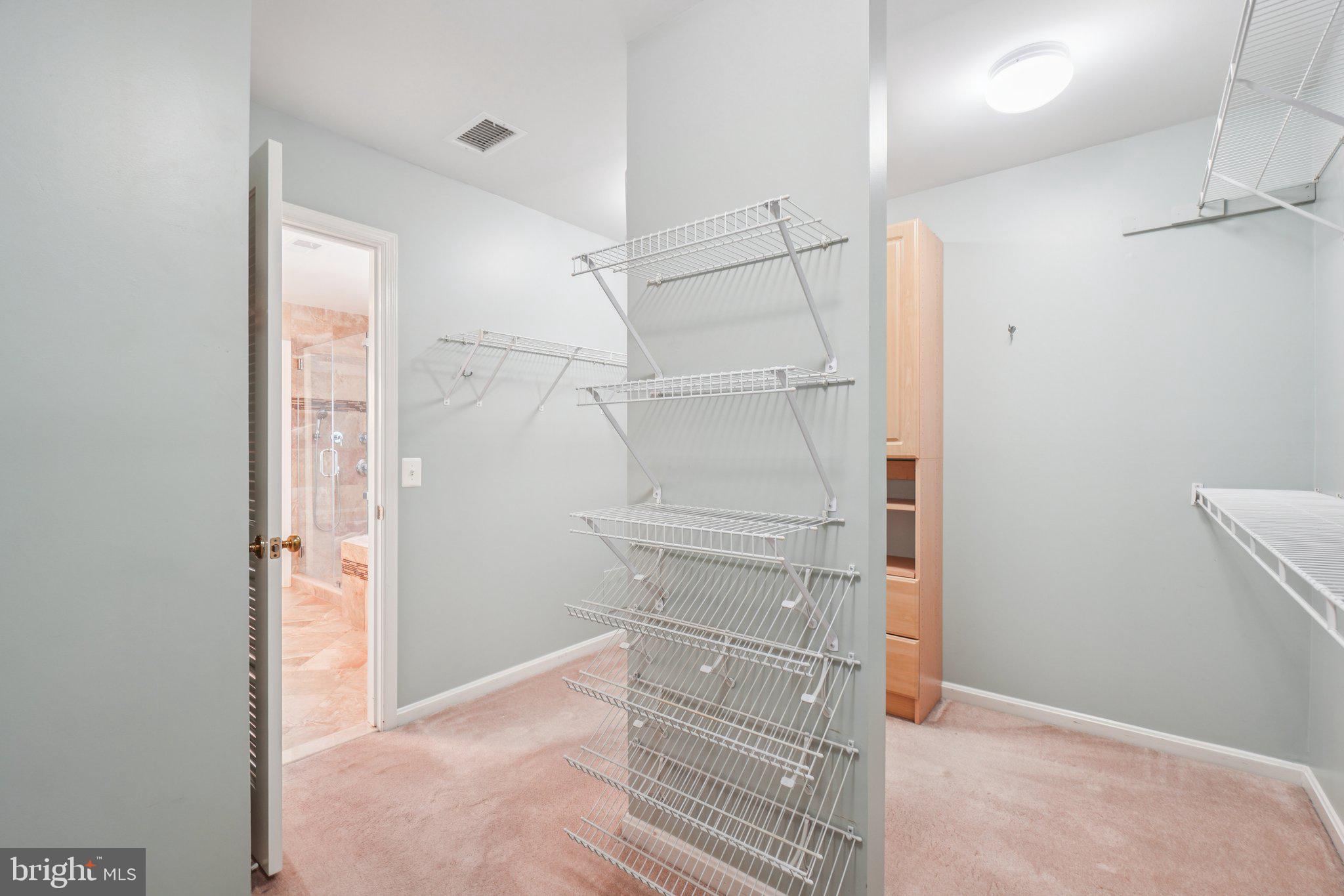 12513 Fox View Way Reston, VA 20191 - Photo 22 of 39 a view of walk in closet with empty racks