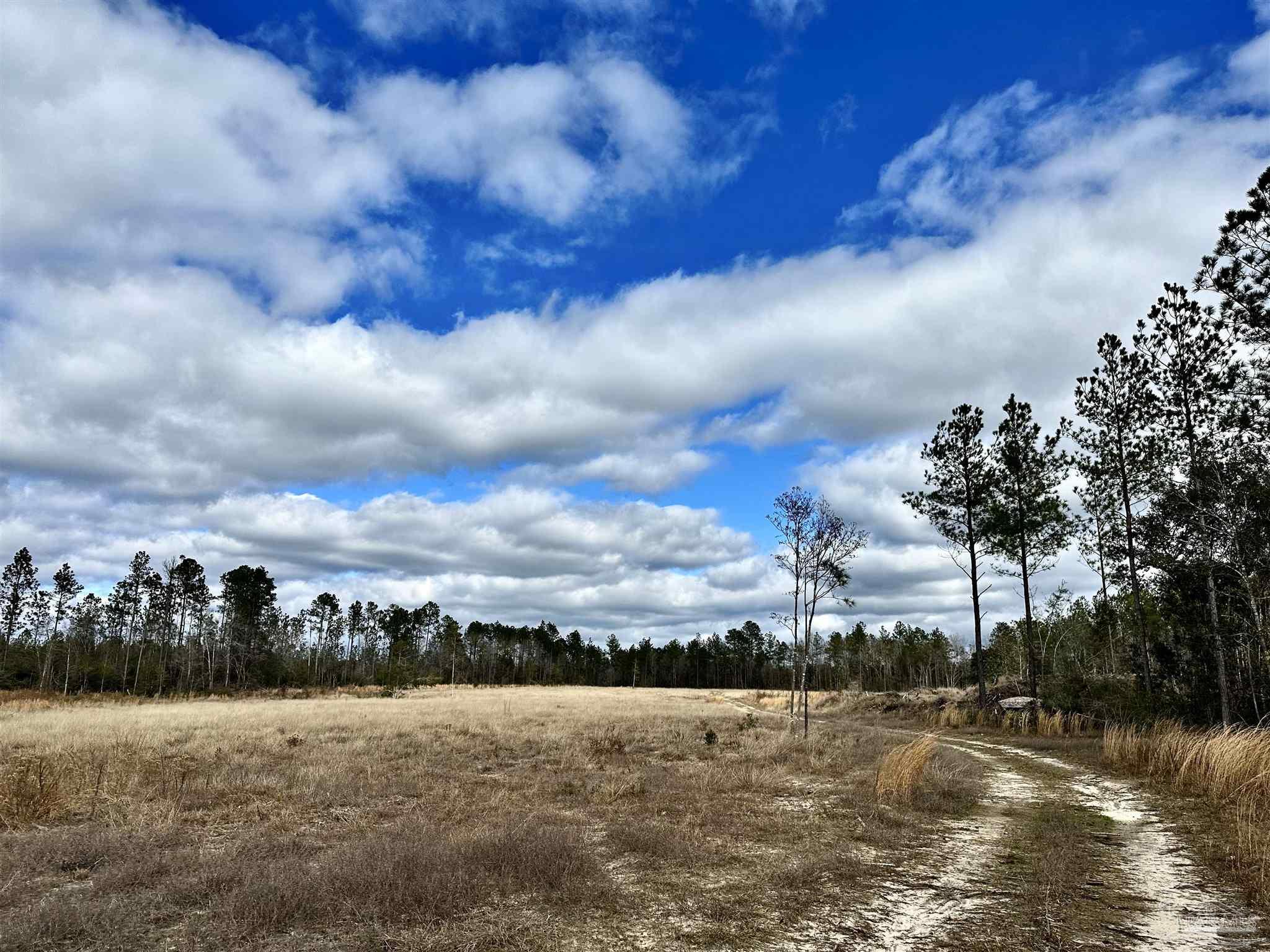 A1 Indian Ford Road Milton, FL 32570 - Photo 11 of 17