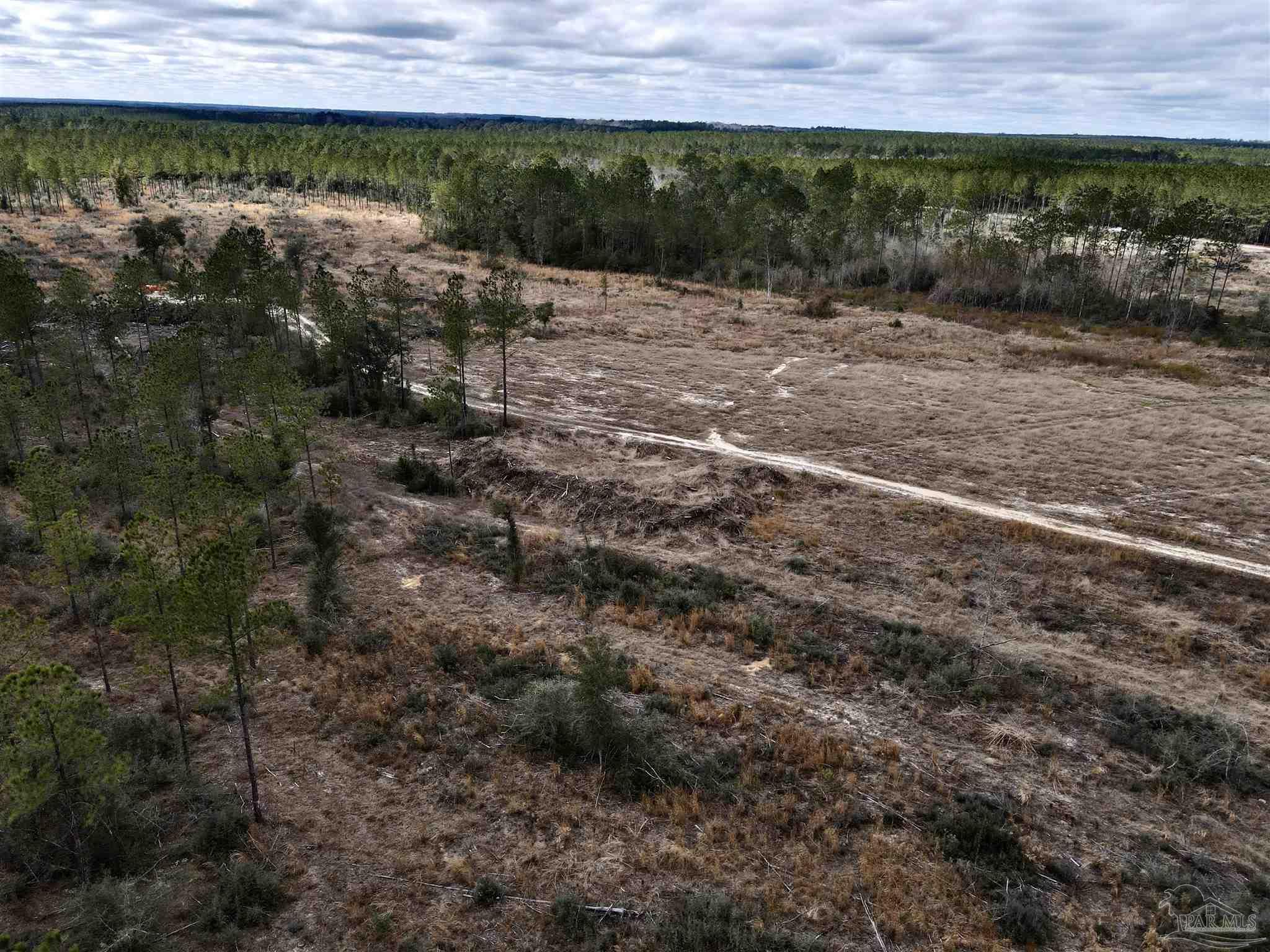 A1 Indian Ford Road Milton, FL 32570 - Photo 13 of 17