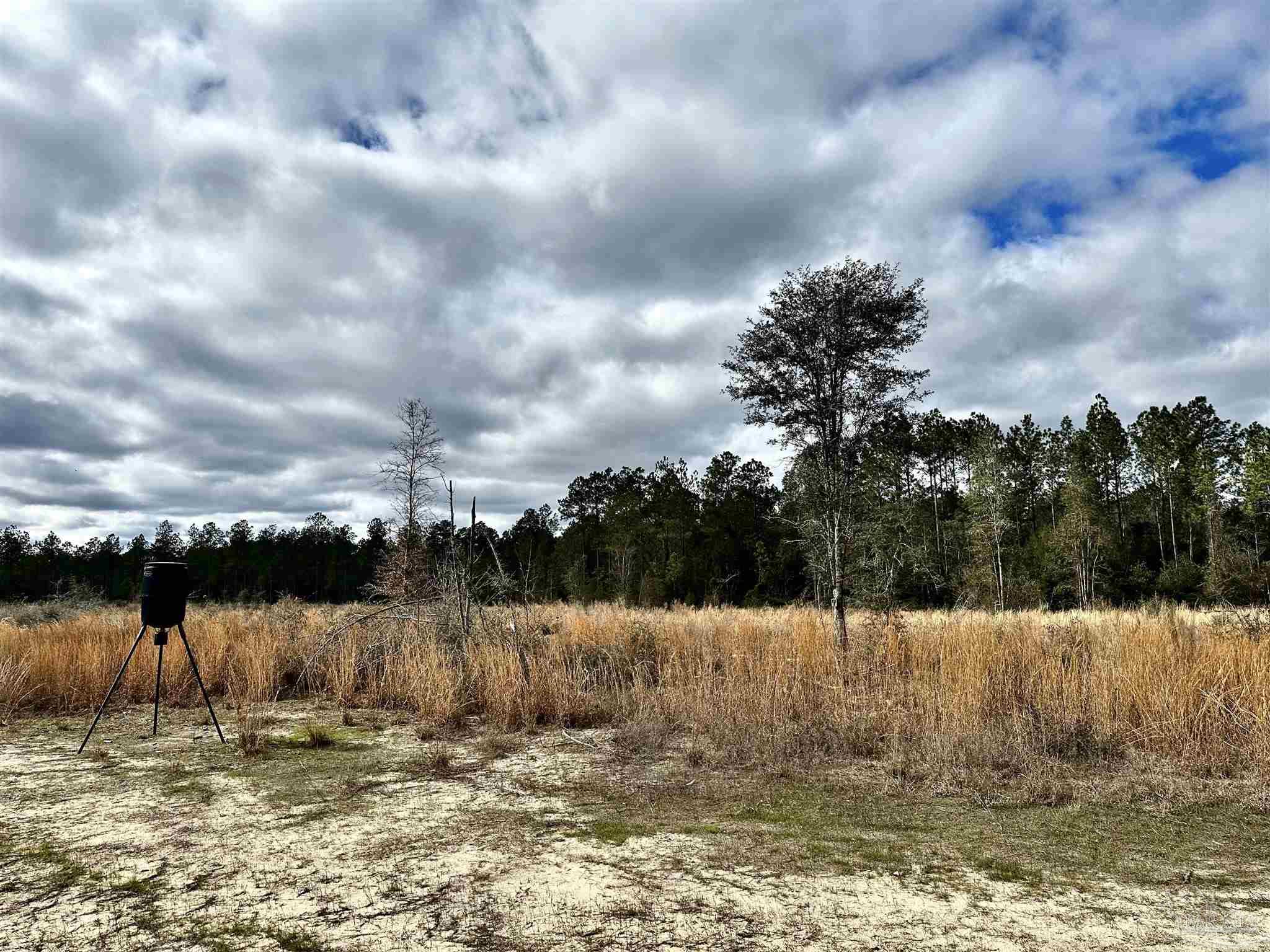 A1 Indian Ford Road Milton, FL 32570 - Photo 3 of 17