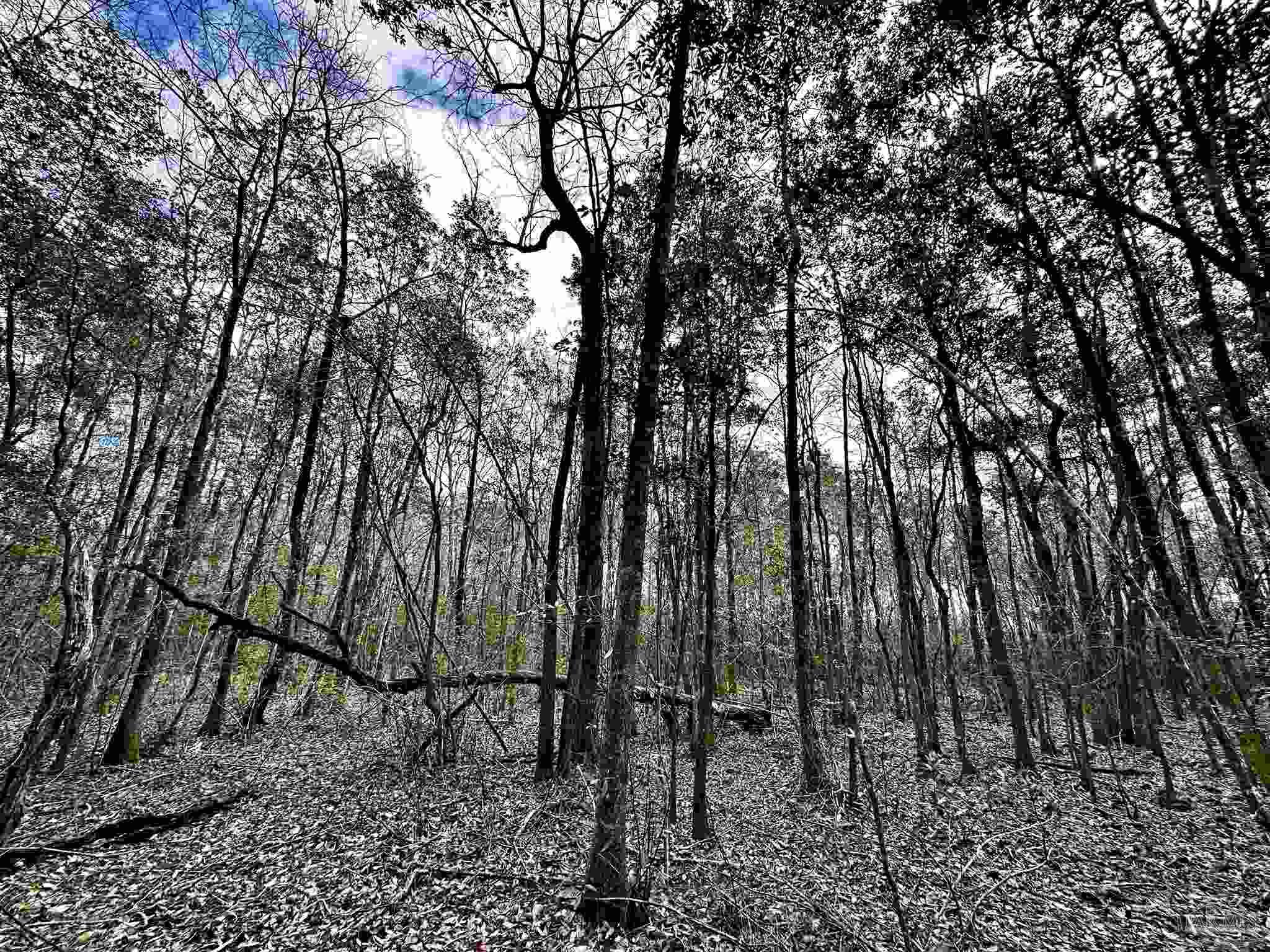 A1 Indian Ford Road Milton, FL 32570 - Photo 5 of 17