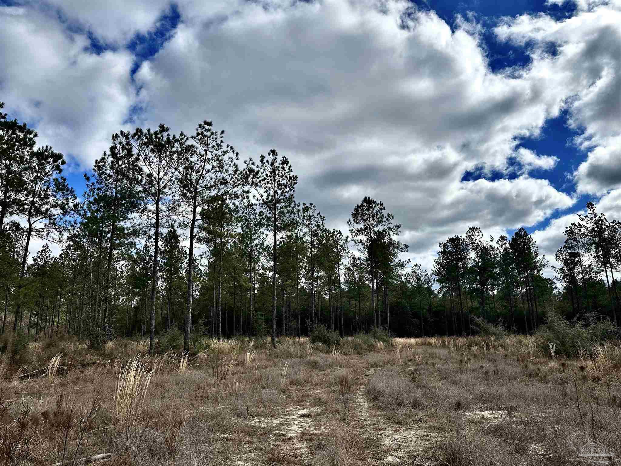 A1 Indian Ford Road Milton, FL 32570 - Photo 7 of 17