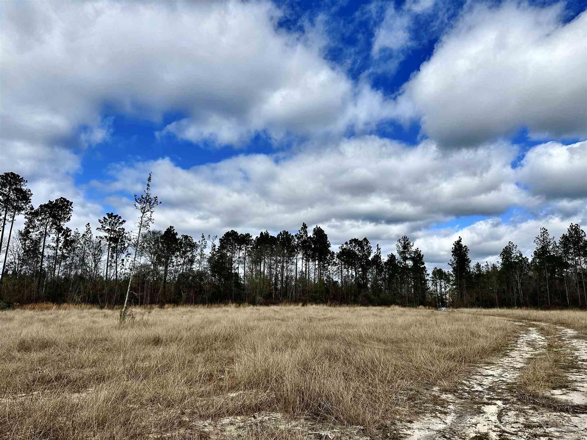 A1 Indian Ford Road Milton, FL 32570 - Photo 9 of 17