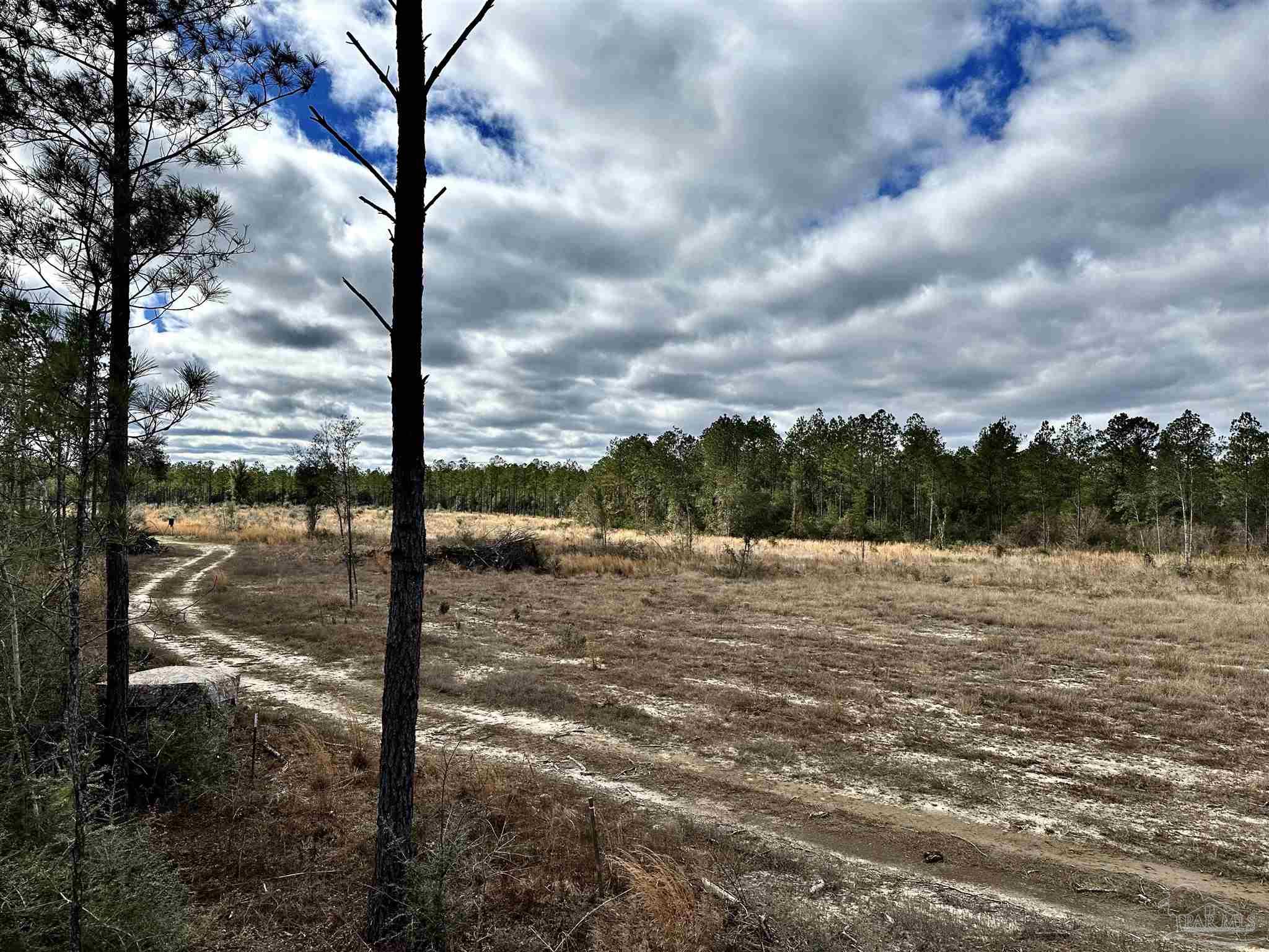 A1 Indian Ford Road Milton, FL 32570 - Photo 10 of 17