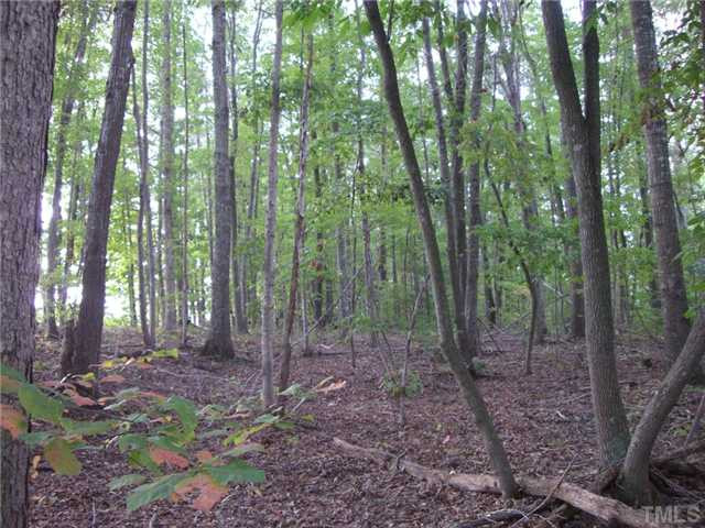Mill Creek Road Roxboro, NC 27574 - Photo 3 of 5 a view of a forest that has large trees