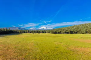 a view of an ocean from a yard