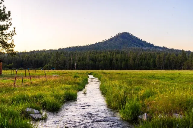 a view of swimming pool and a yard