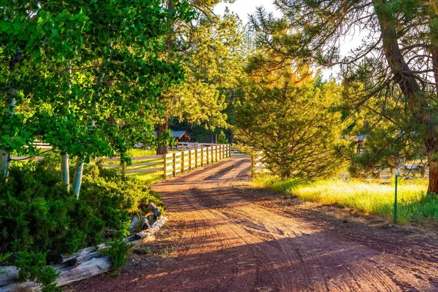 a view of an empty space and trees