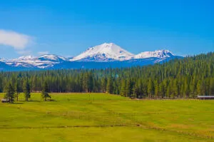 a view of swimming pool with a yard