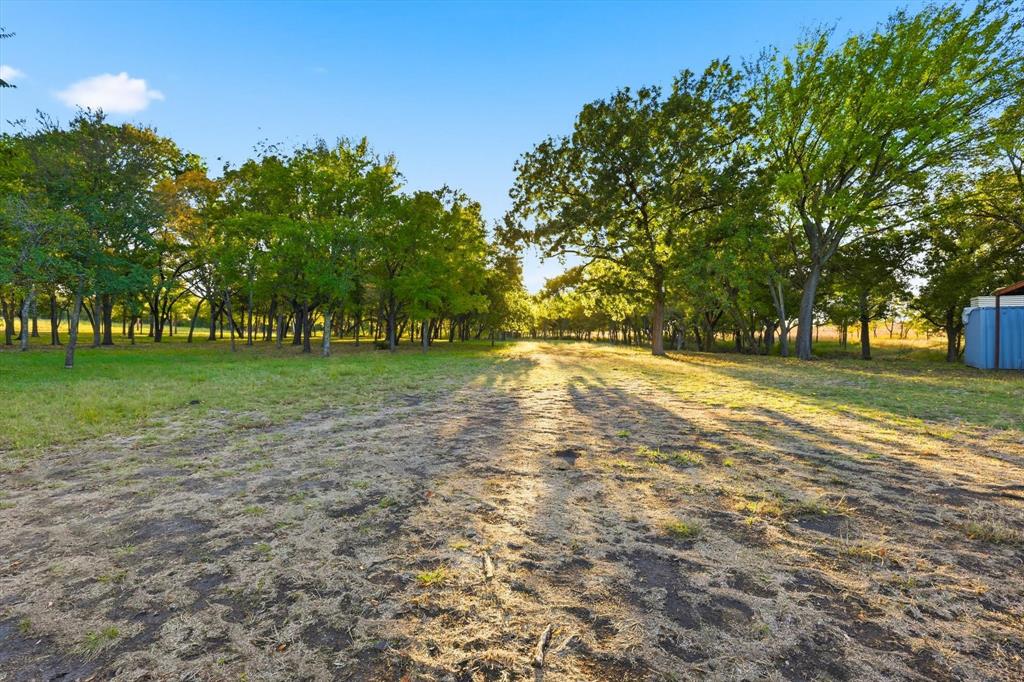 2401 Bear Creek Road Aledo, TX 76008 - Photo 32 of 37 View of yard