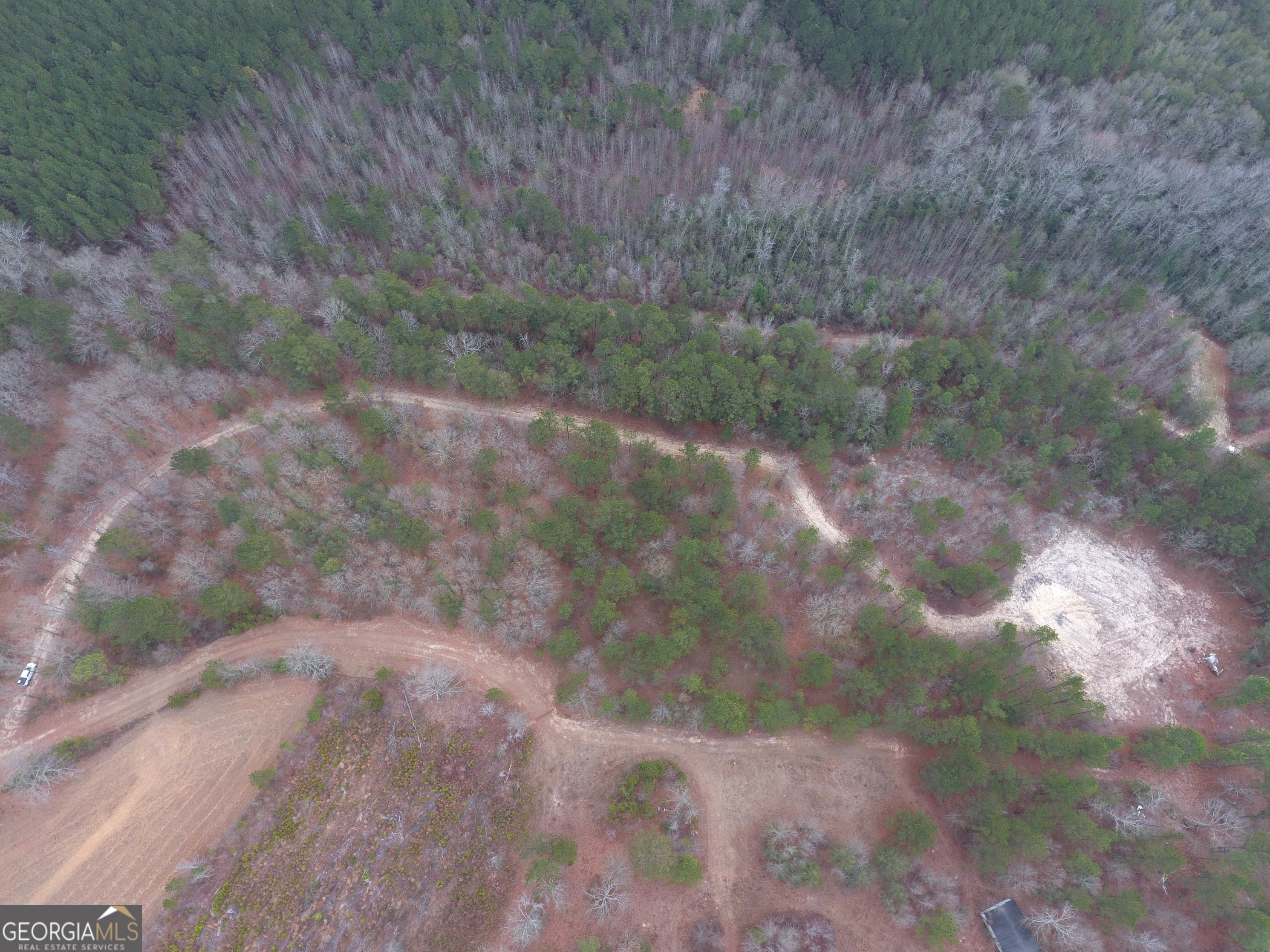 0 Blume Road Mitchell, GA 30820 - Photo 3 of 5