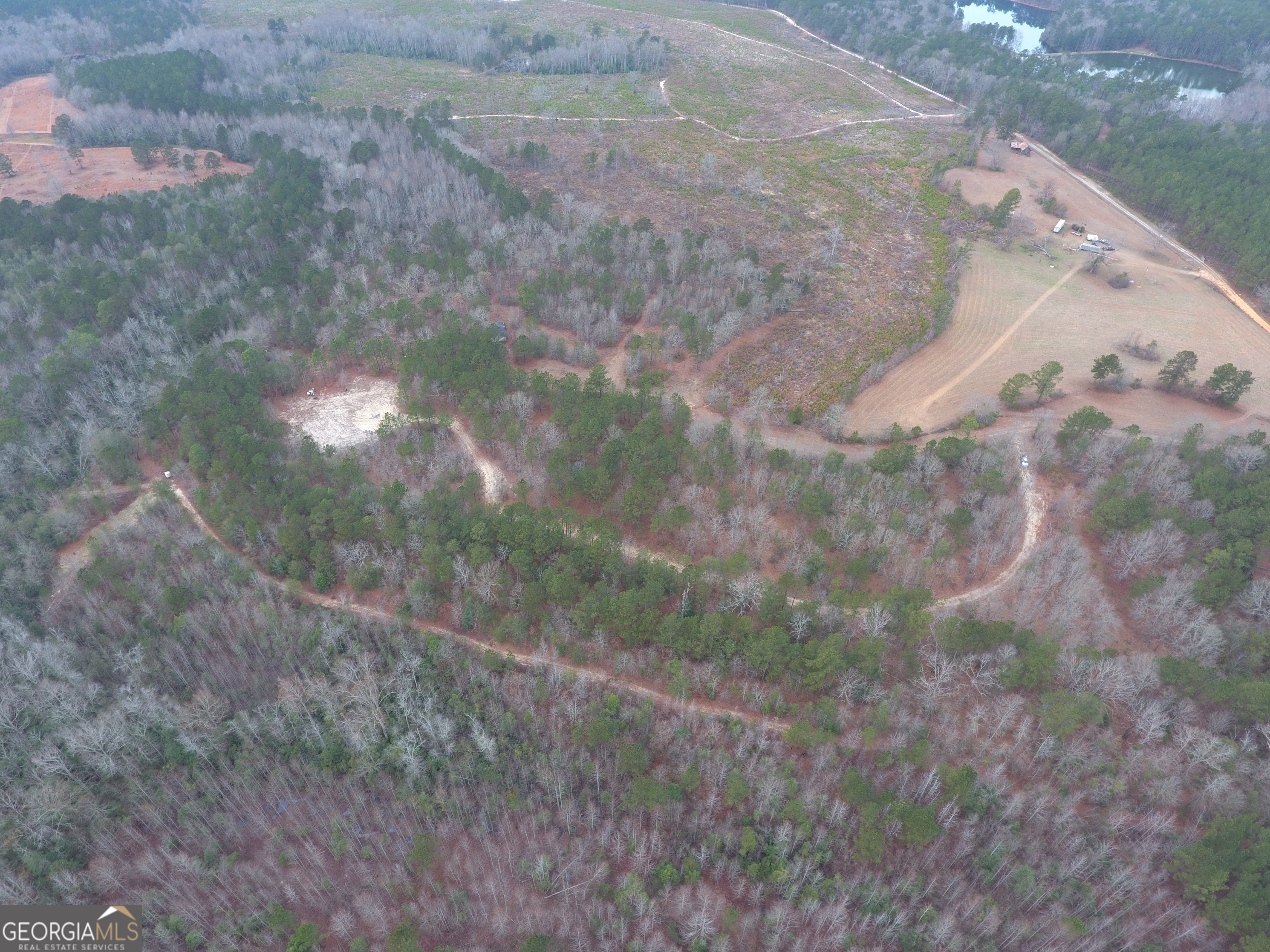 0 Blume Road Mitchell, GA 30820 - Photo 4 of 5