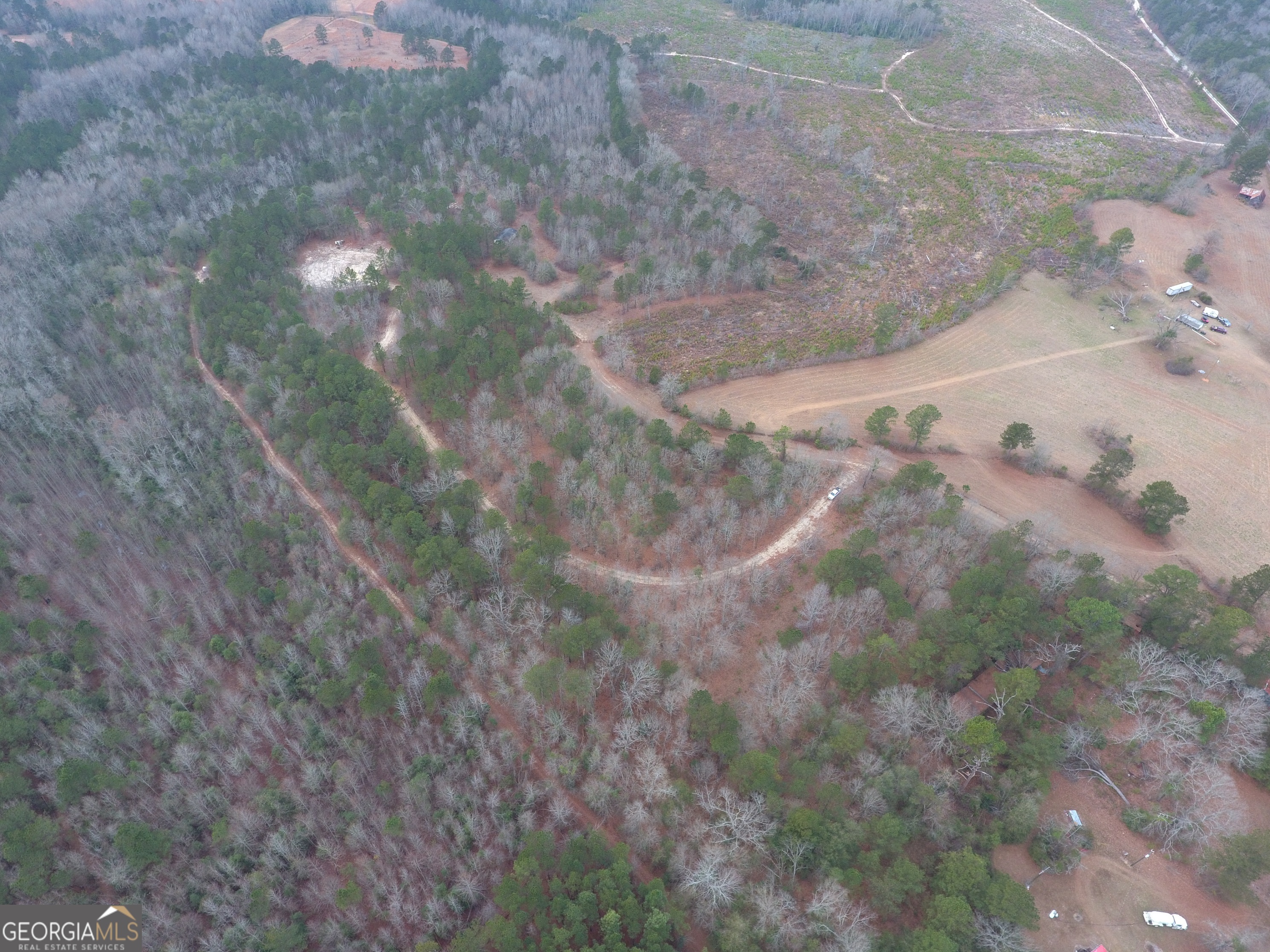 0 Blume Road Mitchell, GA 30820 - Photo 5 of 5