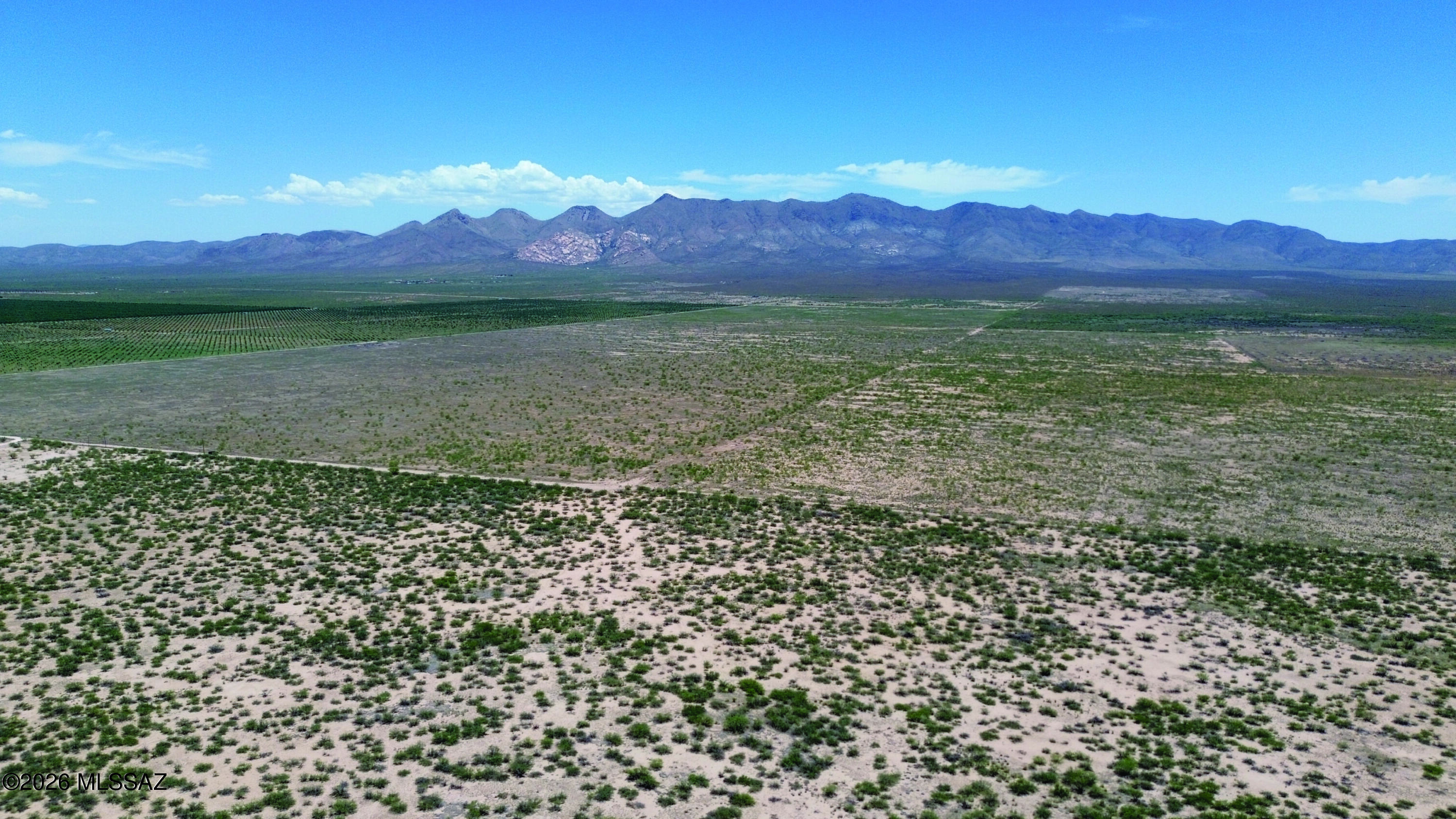 5-acres North White Fawn Road, Unit 5 Elfrida, AZ 85610 - Photo 7 of 17