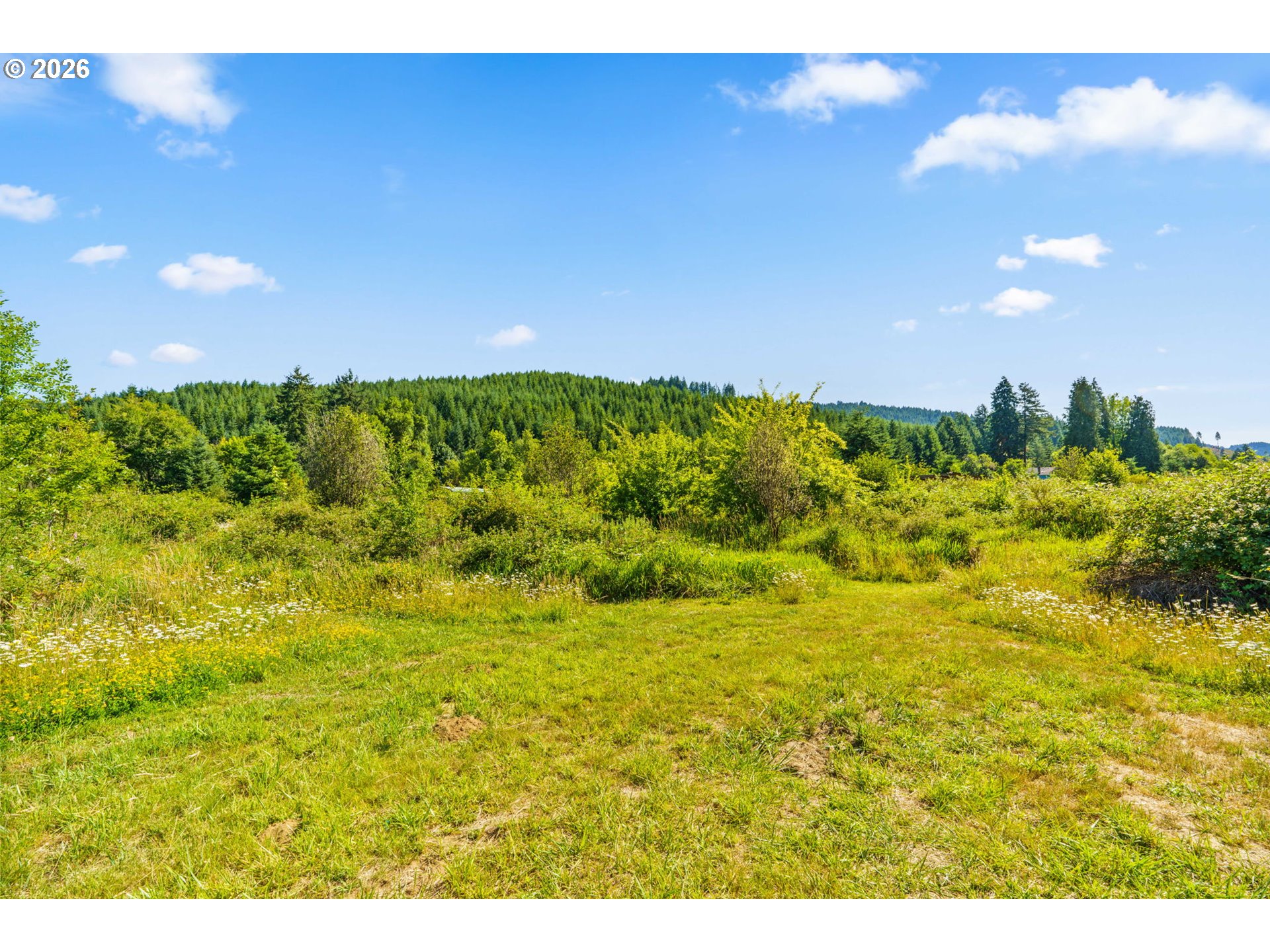 18471 Pataha Creek Road Walton, OR 97490 - Photo 25 of 45