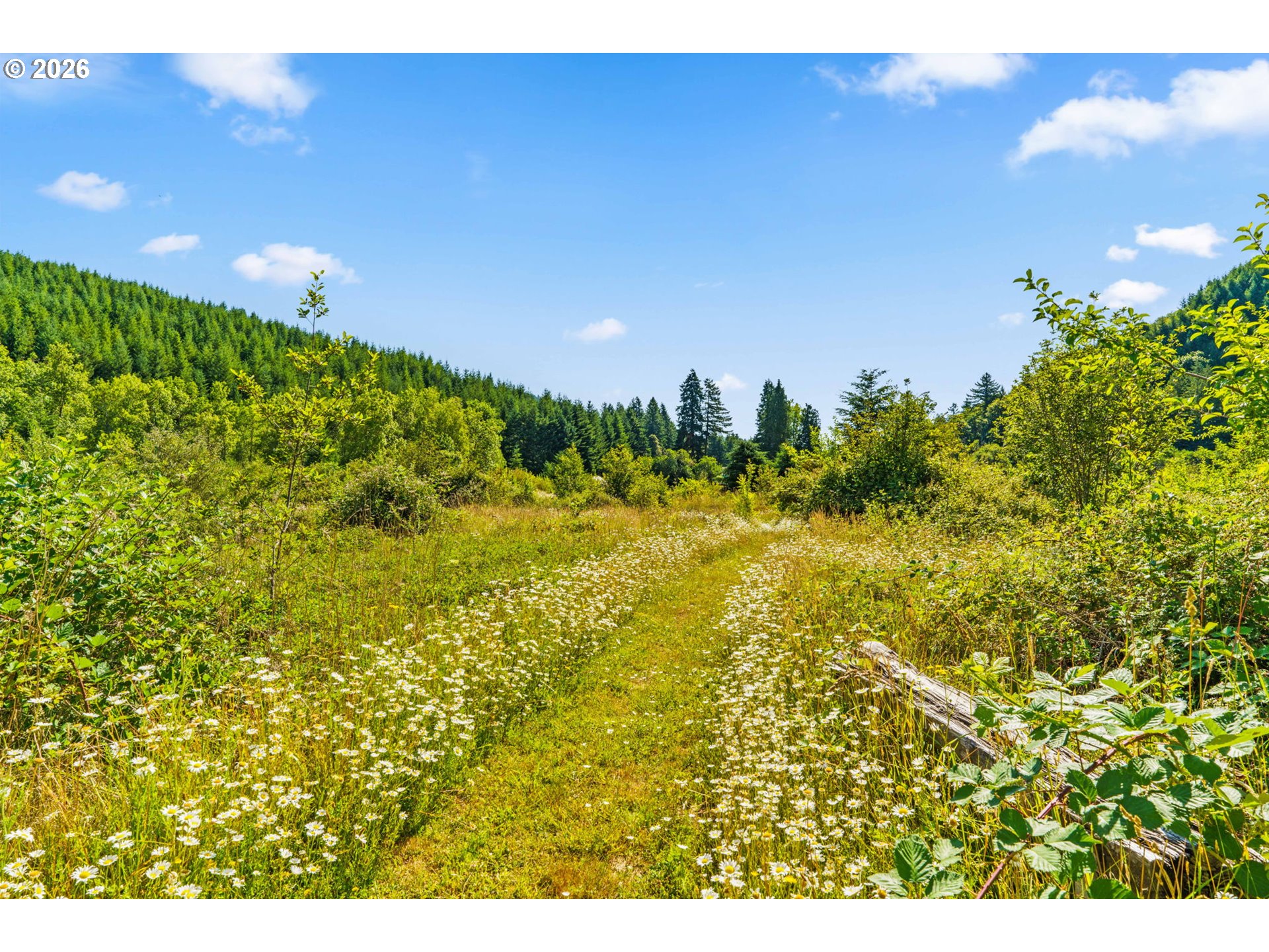 18471 Pataha Creek Road Walton, OR 97490 - Photo 26 of 45