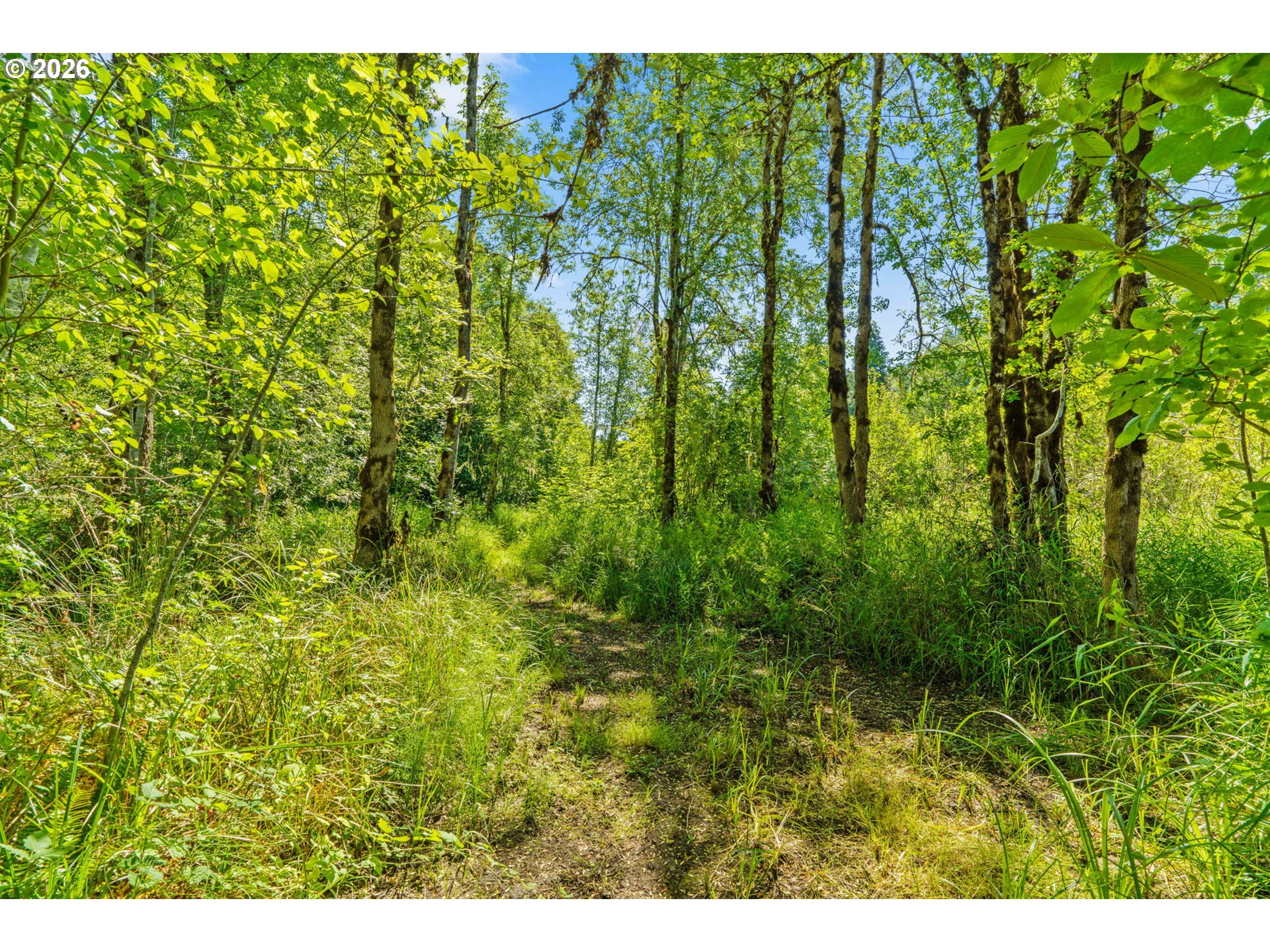 18471 Pataha Creek Road Walton, OR 97490 - Photo 28 of 45