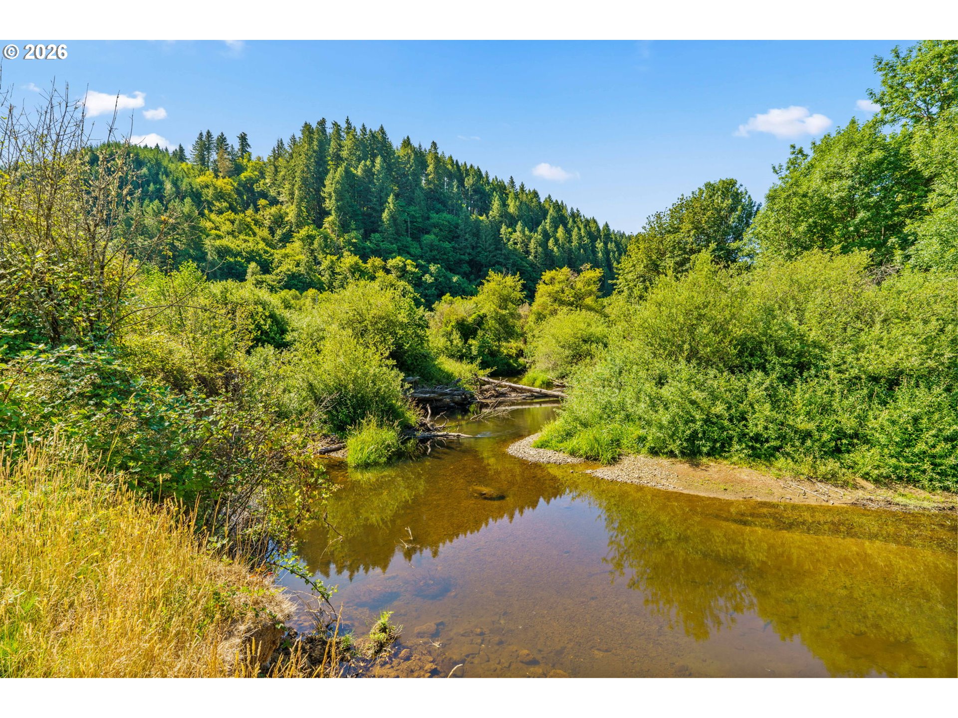 18471 Pataha Creek Road Walton, OR 97490 - Photo 32 of 45