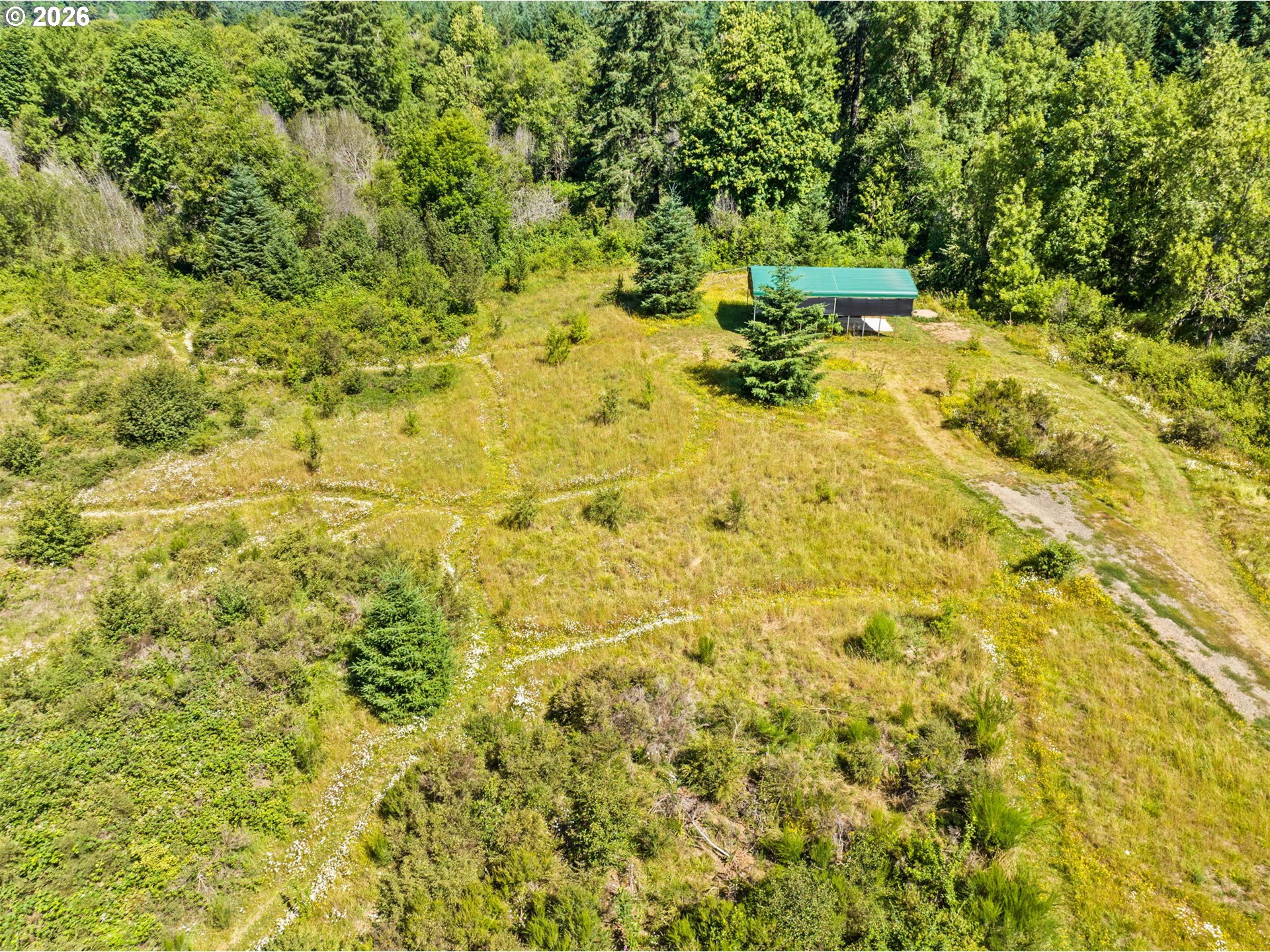 18471 Pataha Creek Road Walton, OR 97490 - Photo 45 of 45