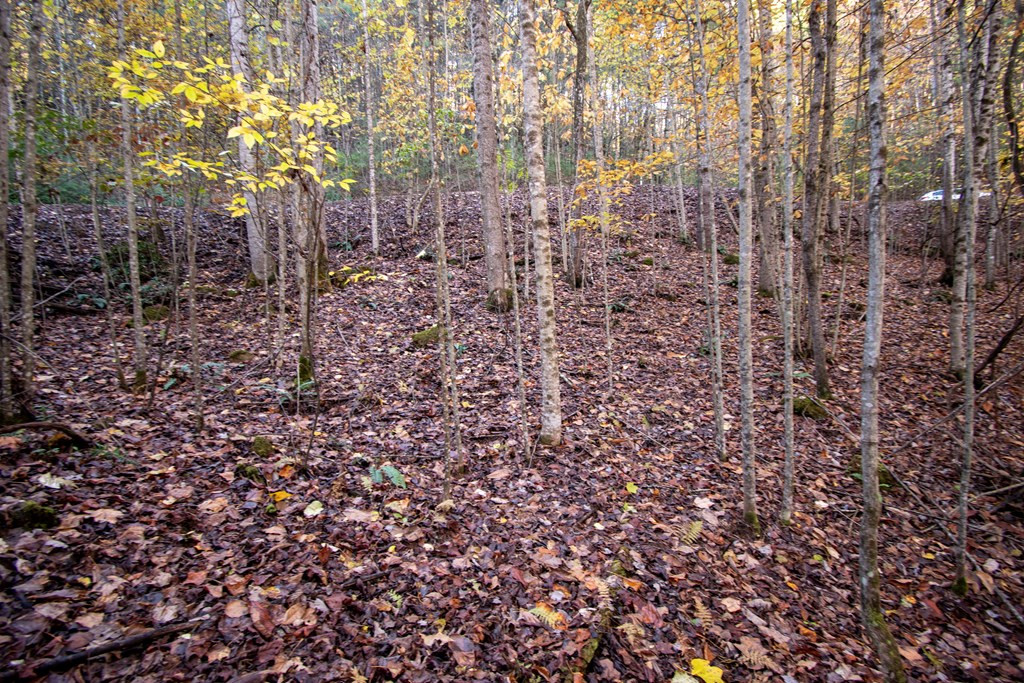 66 Choctaw Rdg Trail Murphy, NC 28906 - Photo 3 of 10
