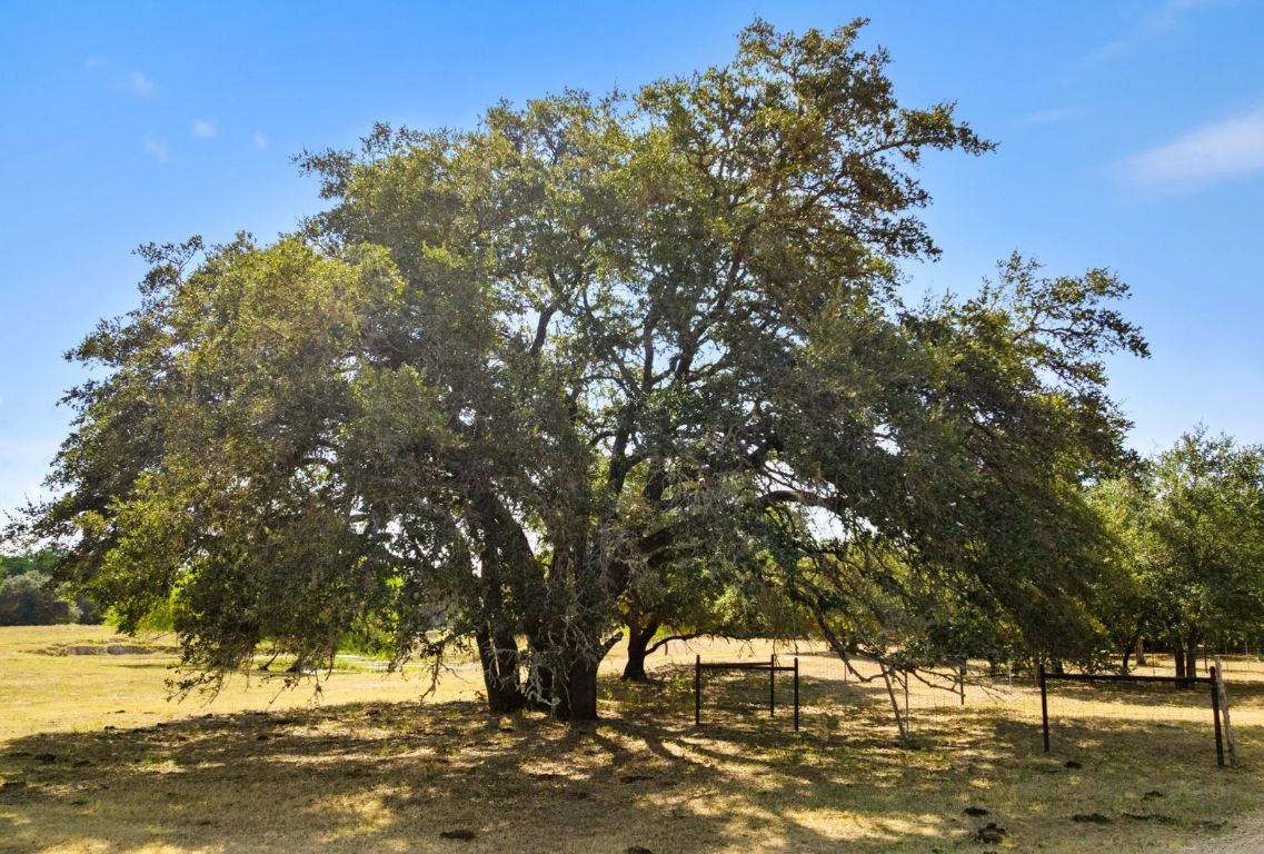 340 Mark Young Road Smithville, TX 78957 - Photo 28 of 40 a view of a lake with houses