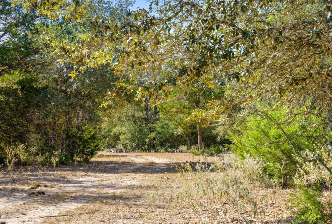 340 Mark Young Road Smithville, TX 78957 - Photo 29 of 40 a view of a yard with a tree
