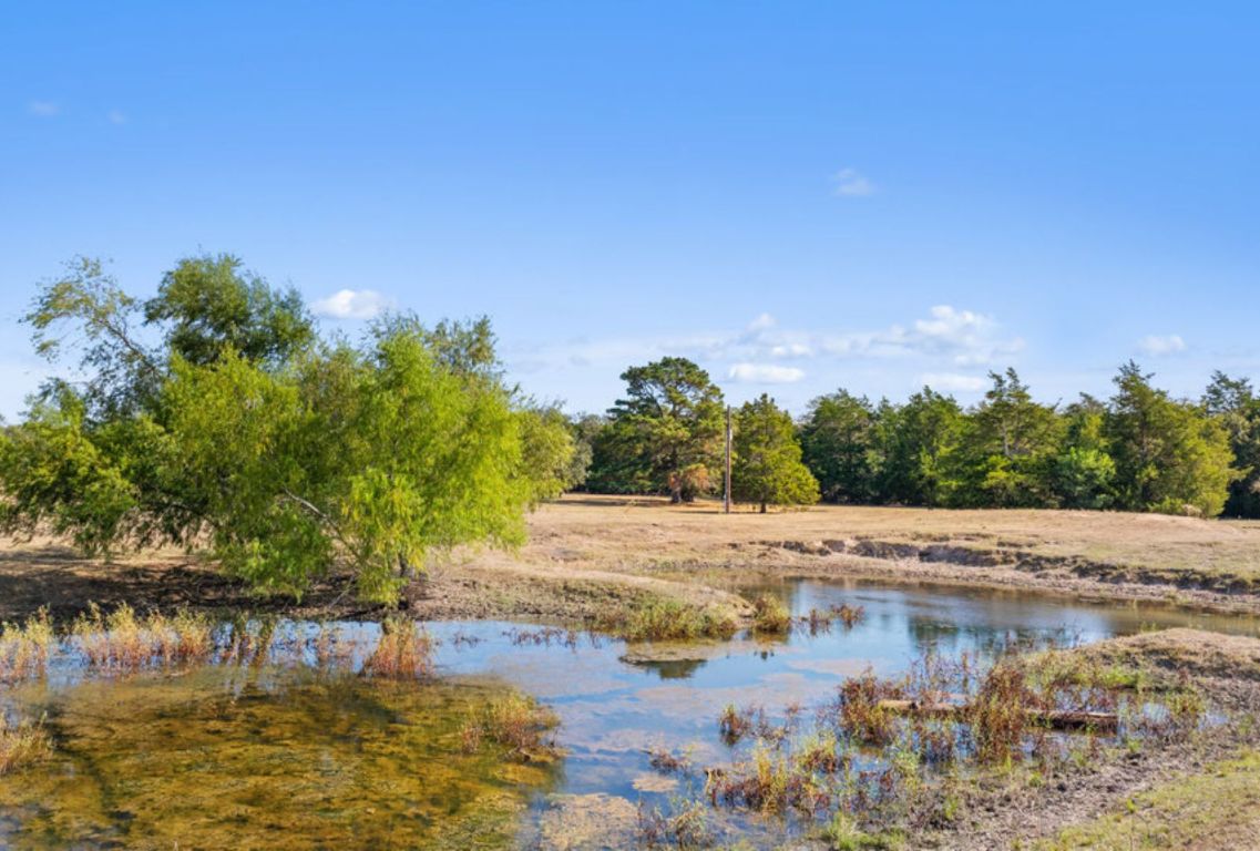 340 Mark Young Road Smithville, TX 78957 - Photo 3 of 40 a view of a lake with beach and large trees