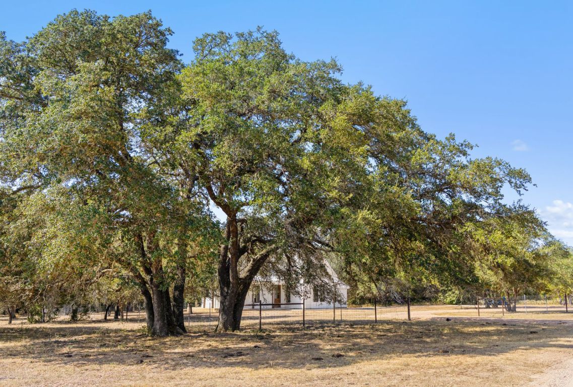 340 Mark Young Road Smithville, TX 78957 - Photo 34 of 40 a view of a yard with a tree
