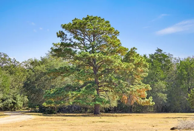 a view of a yard with an outdoor space