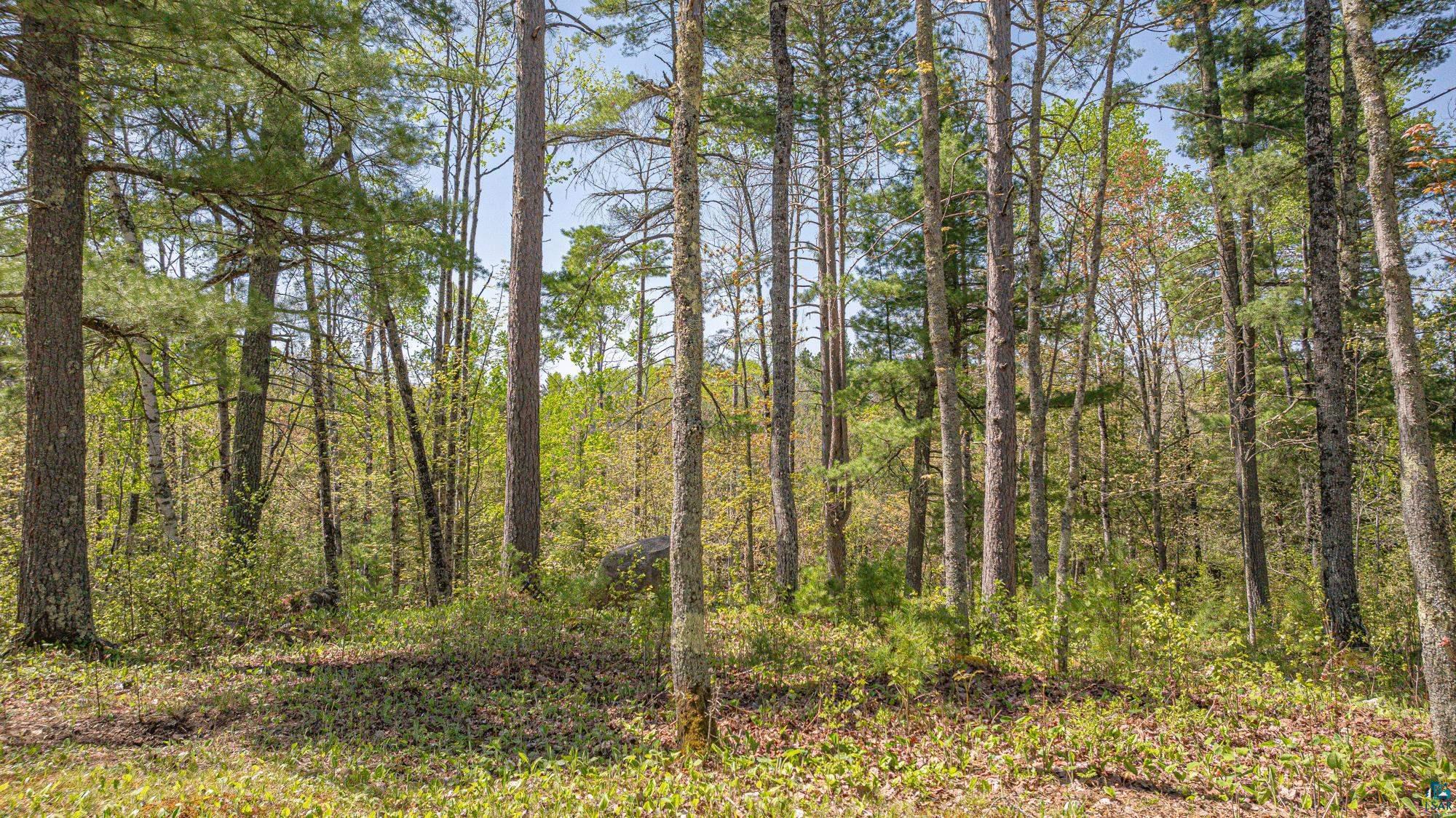 4151 Mud Creek Road Ely, MN 55731 - Photo 79 of 97